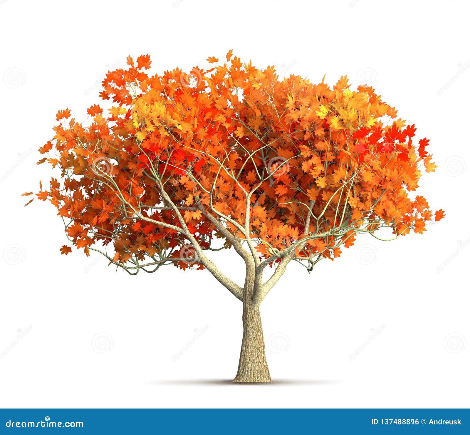 An Orange Autumn Maple Tree Isolated 3D Illustration Stock Photo