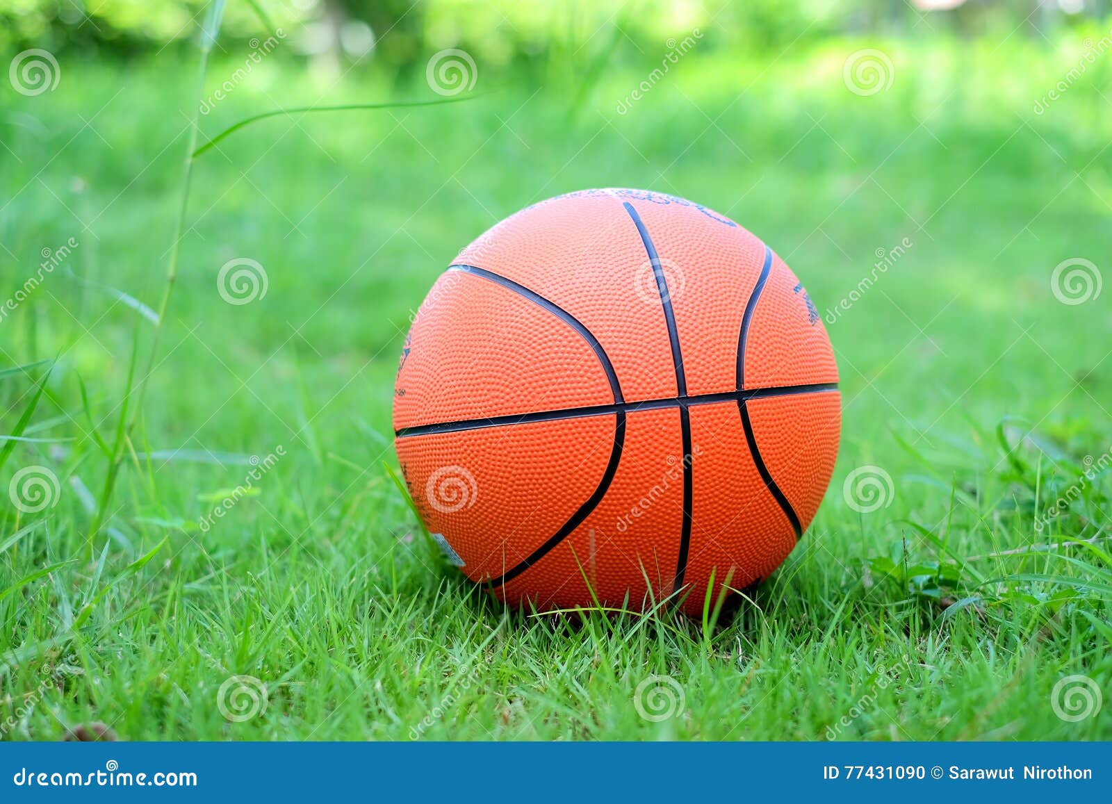 Orange Basketball on Green Grass. Stock Photo Image of ball, texture