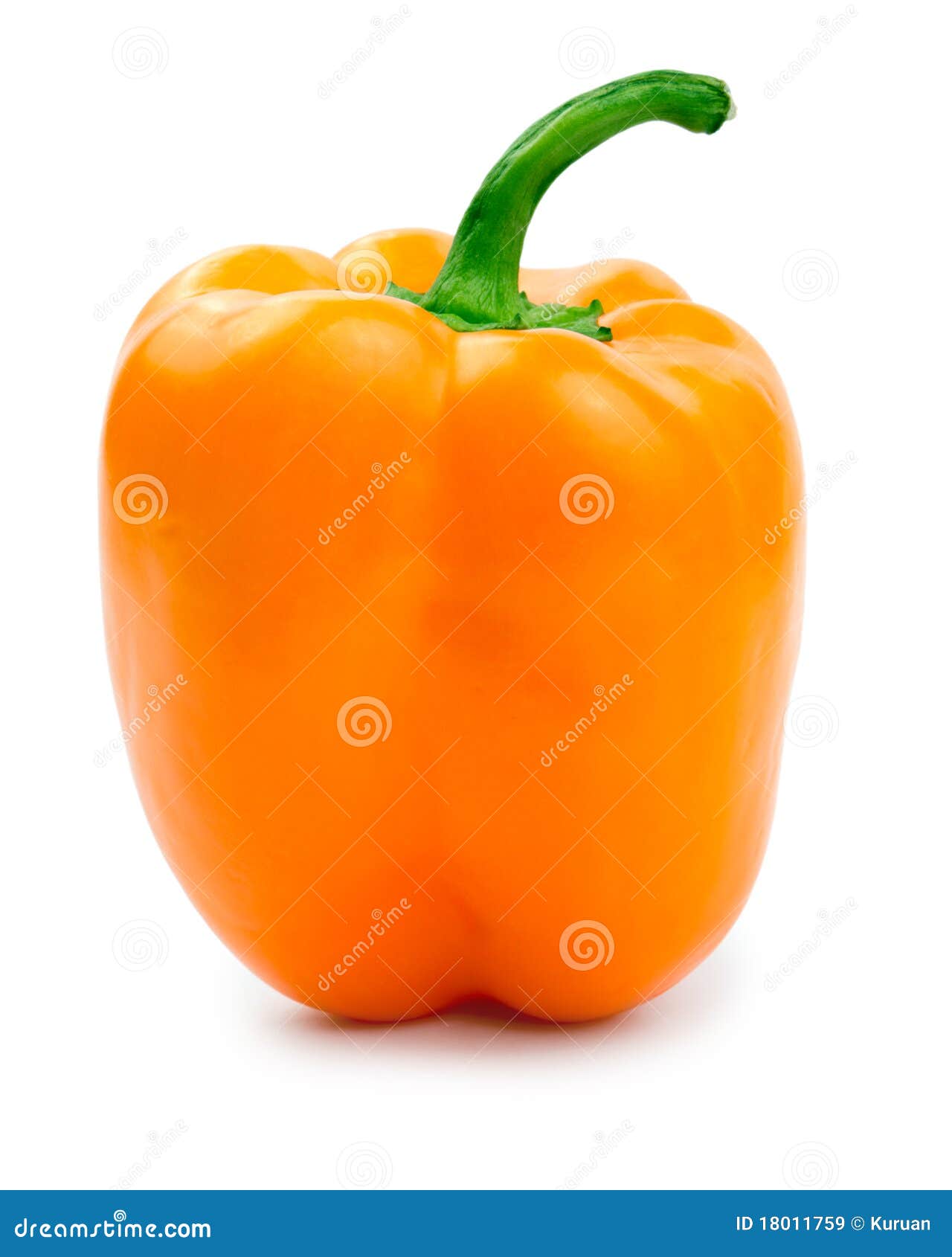 Orange Bell Pepper (paprika) Stock Image Image of green, agriculture