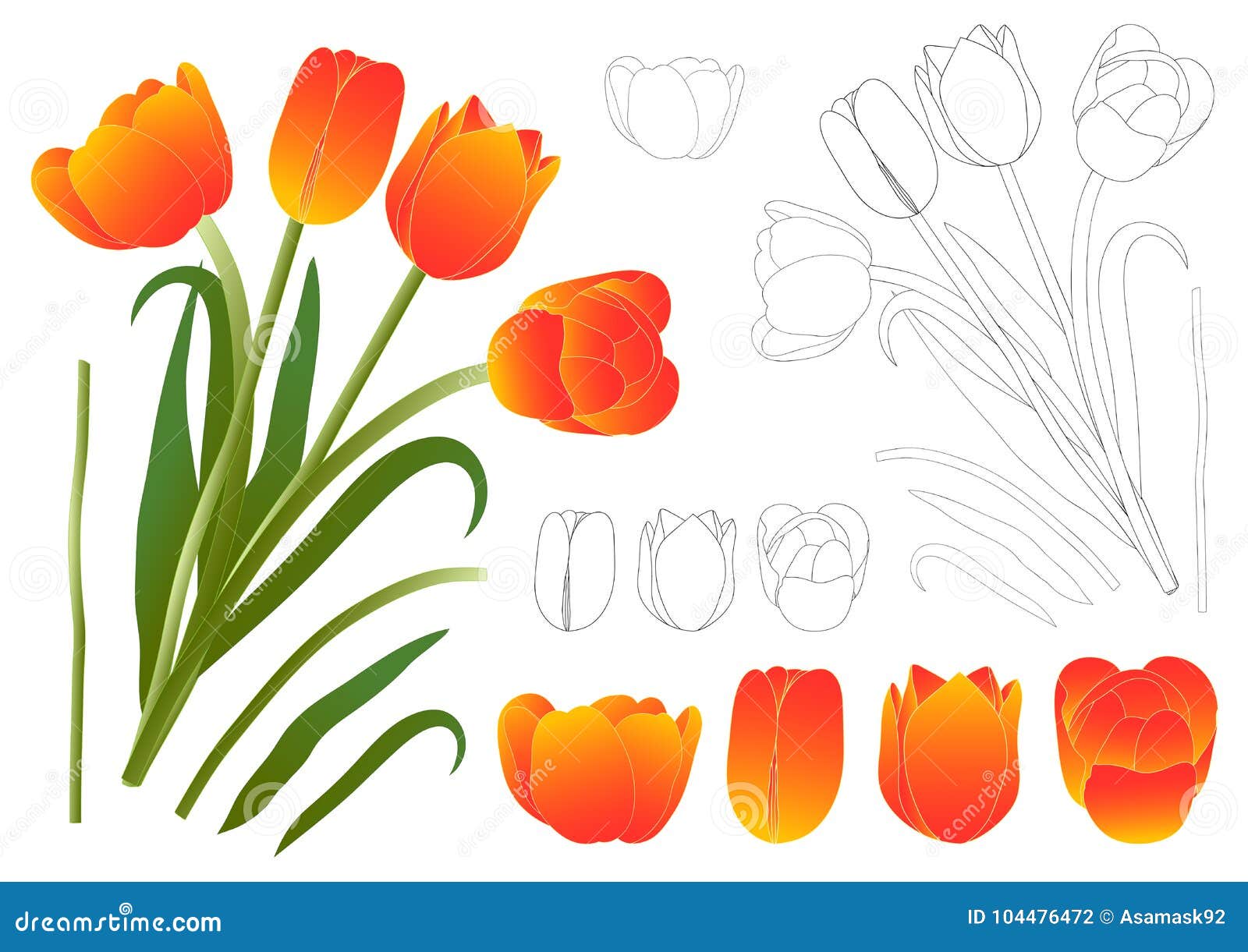 Orange Bouquet Tulip. Vector Illustration Stock Vector - Illustration