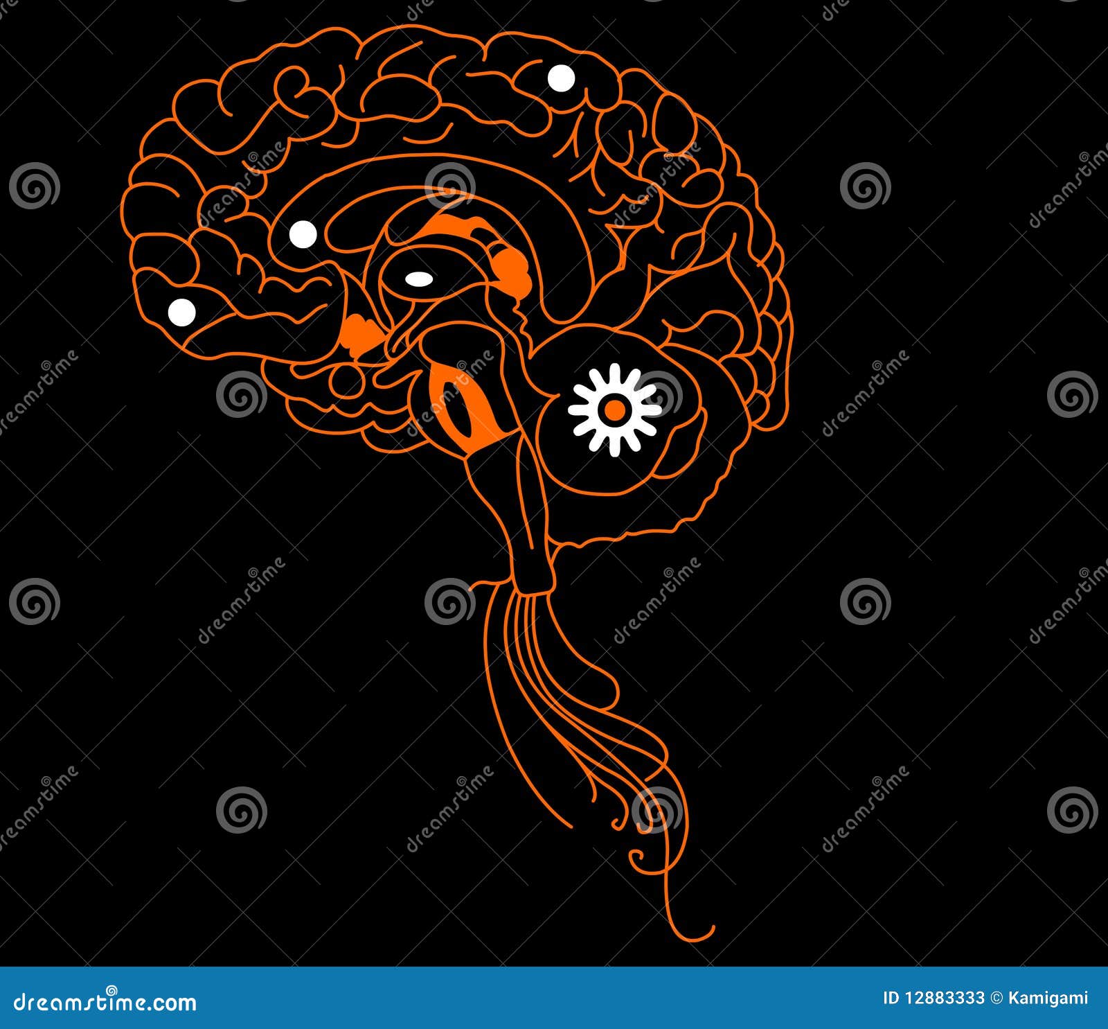 Orange brain stock illustration. Illustration of creativity 12883333