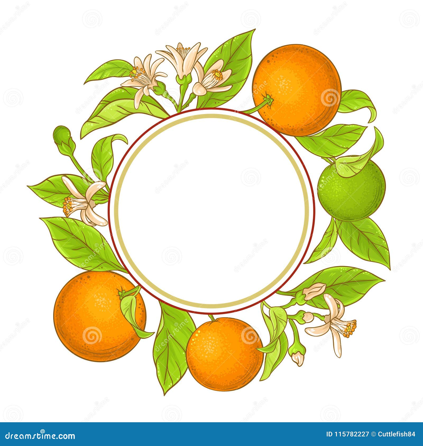 Download Orange branch vector frame stock vector. Illustration of ...