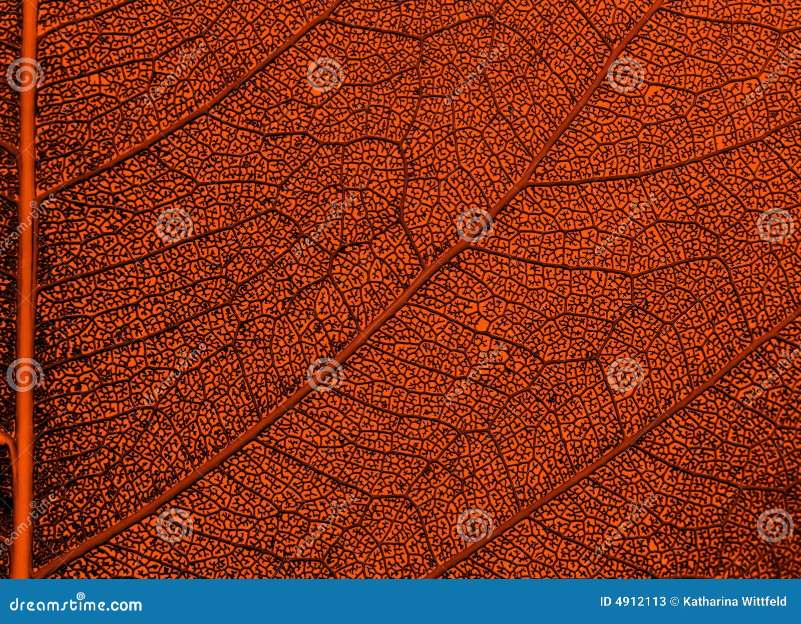 Orange brown leaf stock image. Image of abstract, leaf 4912113