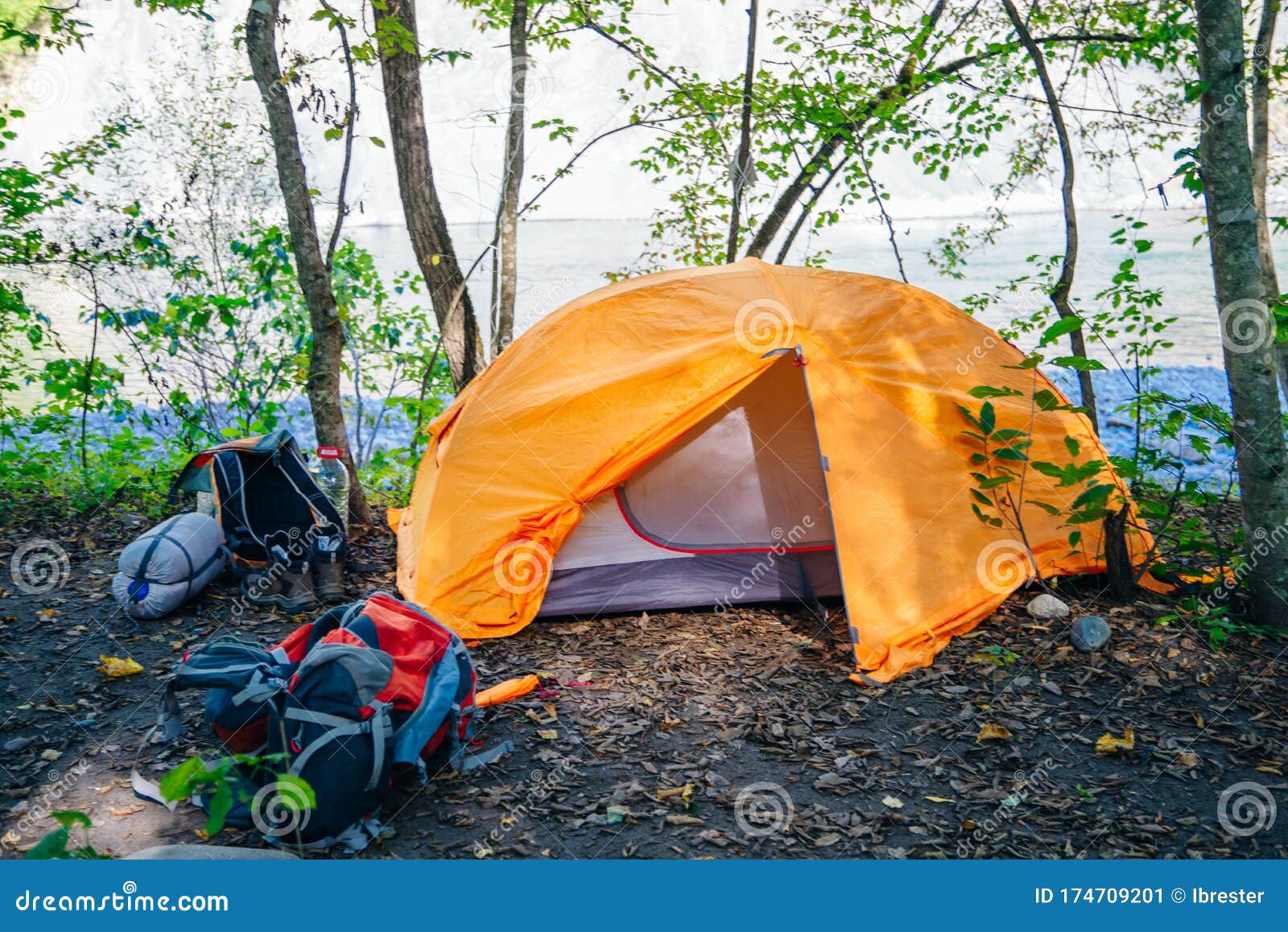 Orange Camping Tent with Backpack in the Cozy Green Forest Stock Image