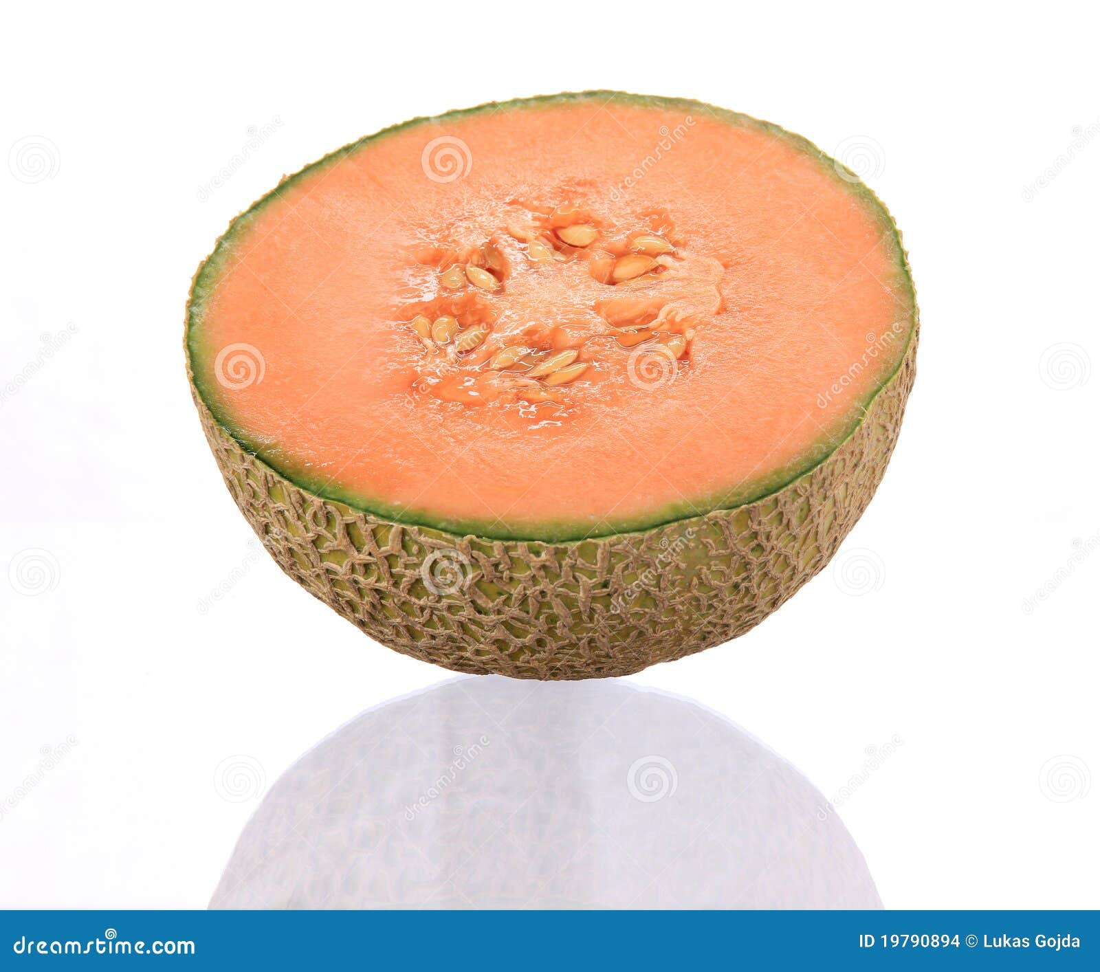 Orange cantaloupe melon stock photo. Image of slice, organic 19790894