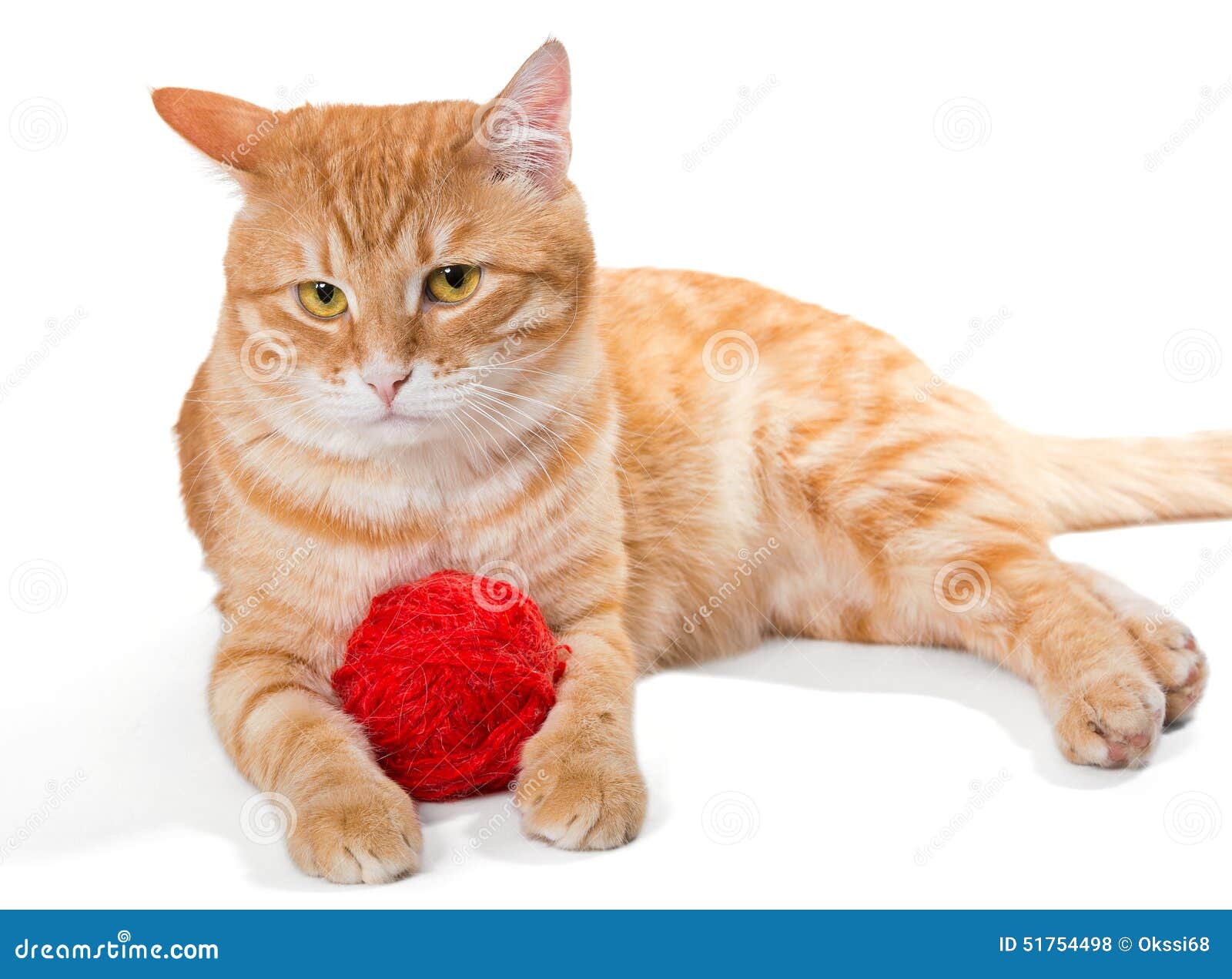 Orange Cat And A Sphere Of Red Wool Stock Photo - Image of ...