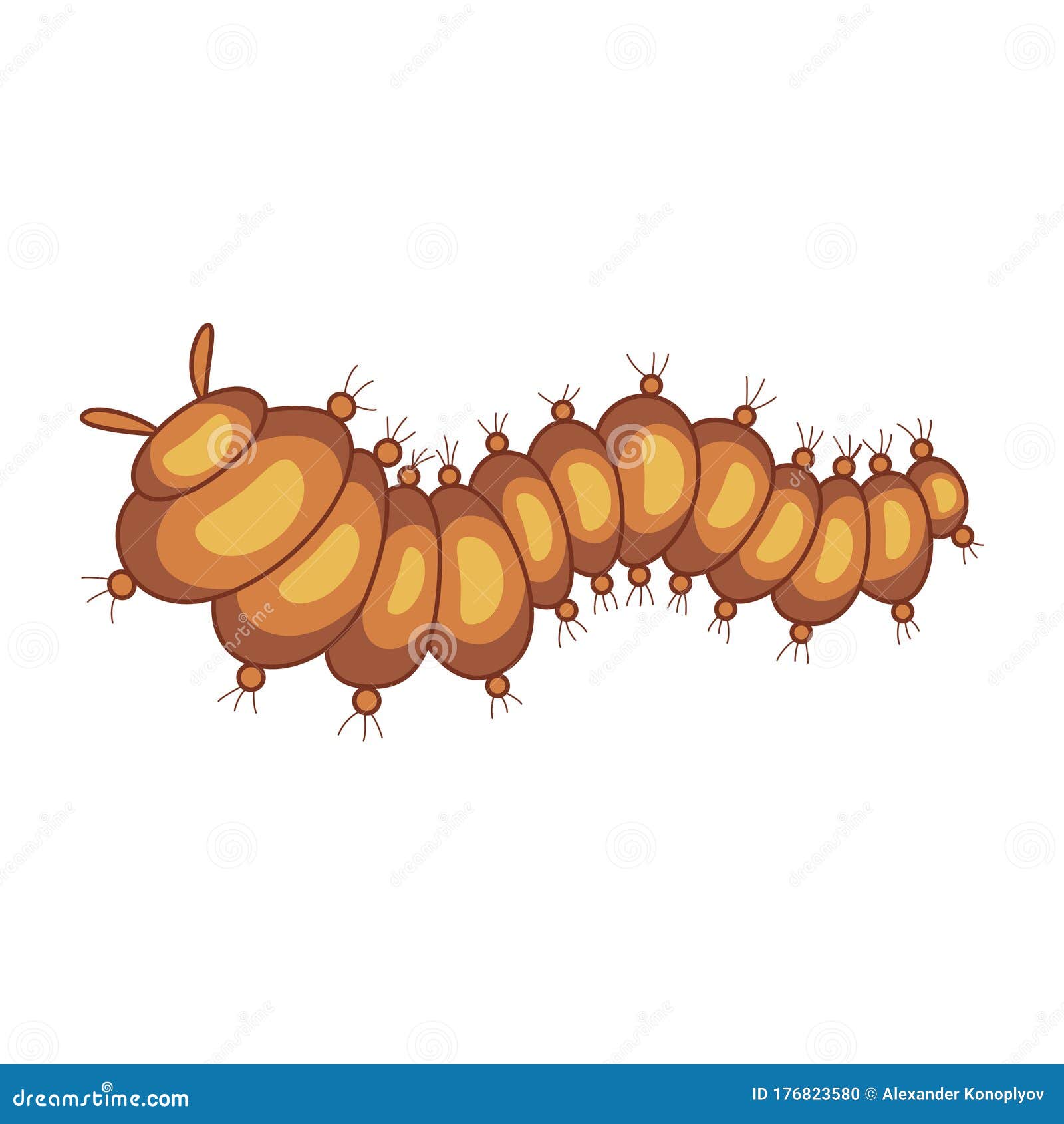 orange caterpillar insect, beautiful bright entomology creature