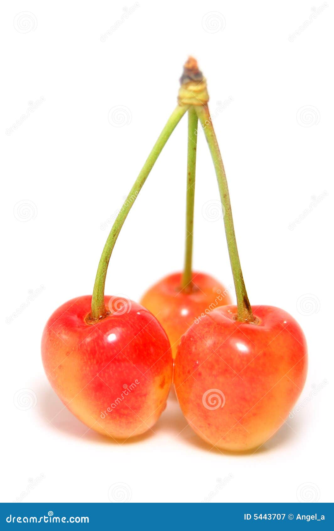 Orange Cherries Royalty Free Stock Photography - Image: 5443707