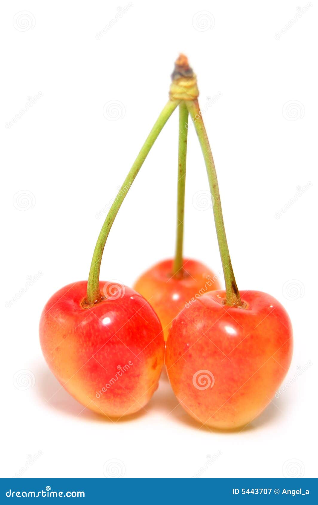 Orange cherries stock image. Image of isolated, healthy 5443707