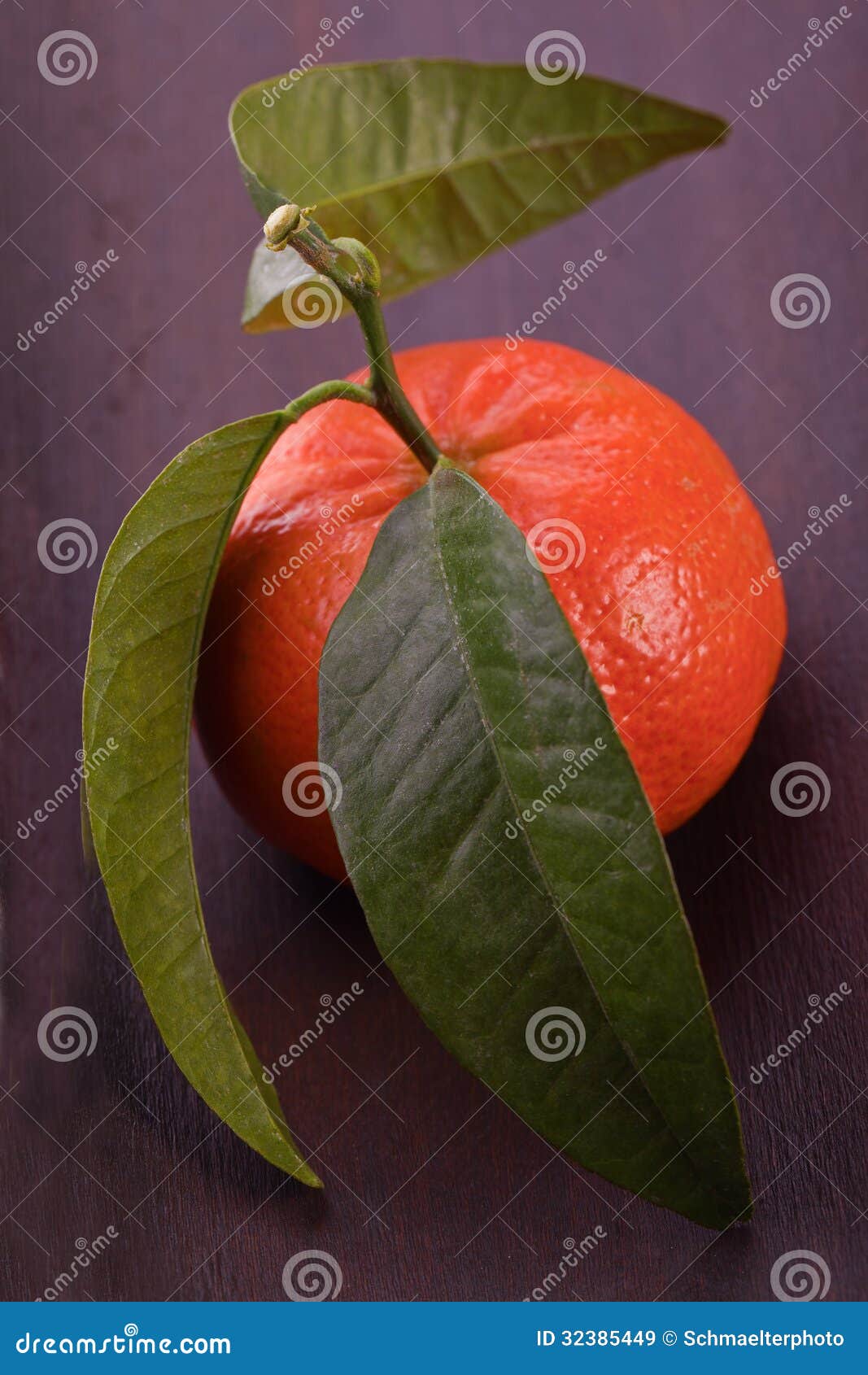 Orange Citrus Fruit with Green Leaf Stock Image Image of vegetarian