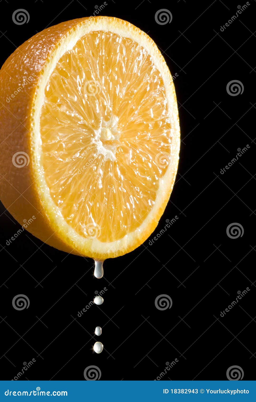 Orange Citrus Fruit with Juice Drops Stock Image Image of organic