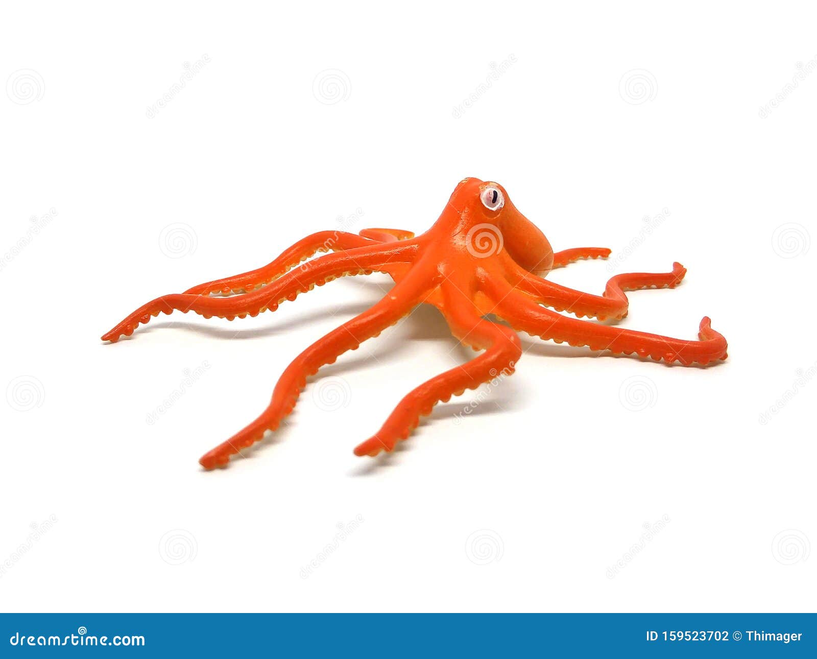 Orange Color Octopus Rubber Toy. Stock Photo - Image of closeup ...
