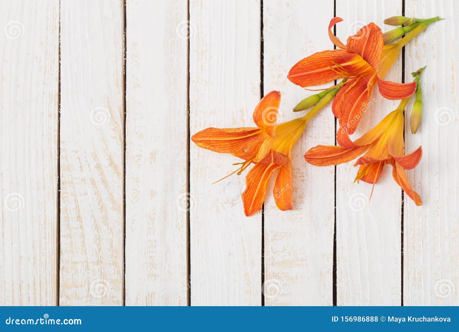 Orange Daylily on Wooden Background Stock Photo Image of bunch