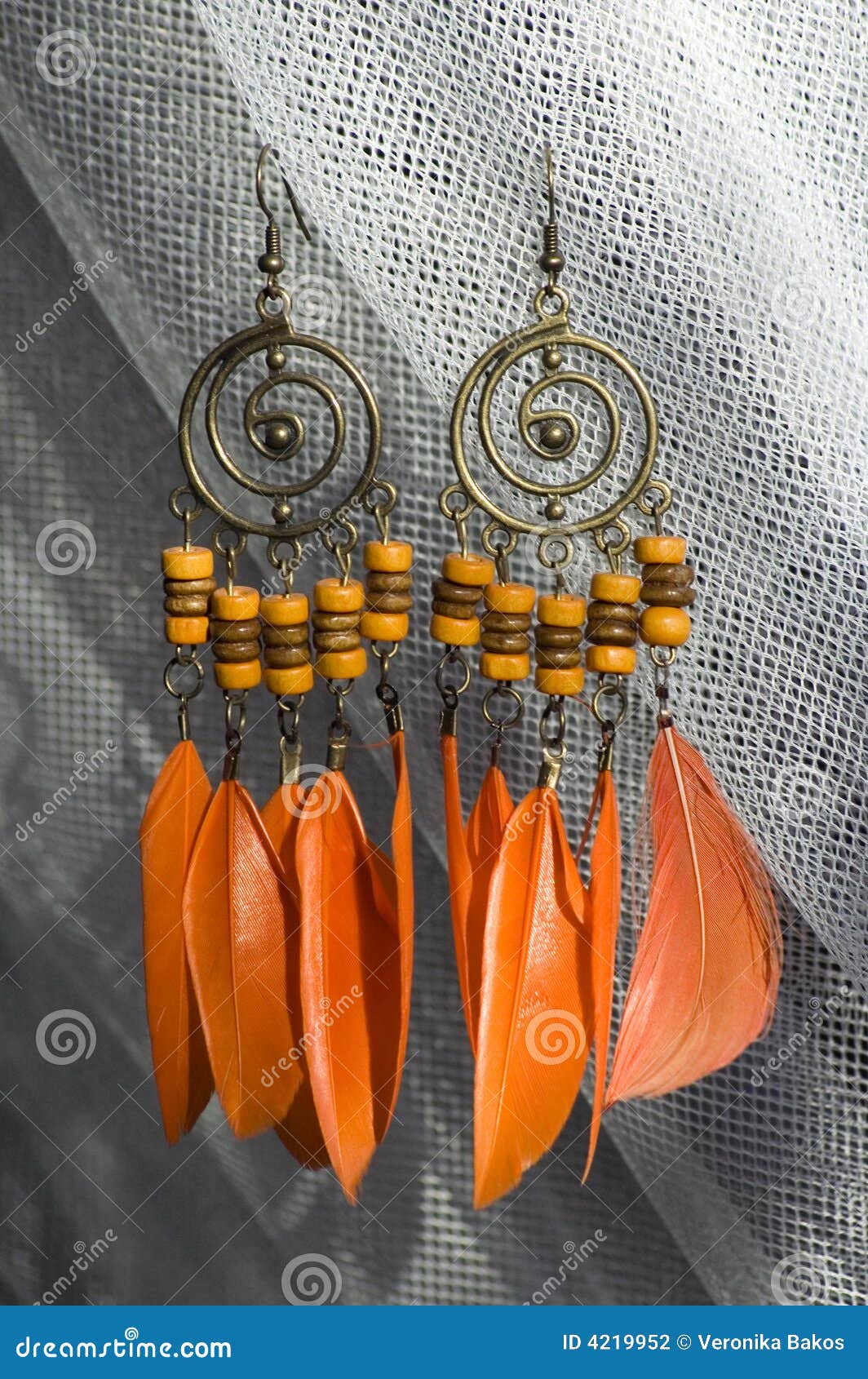 Orange Earrings Picture. Image 4219952