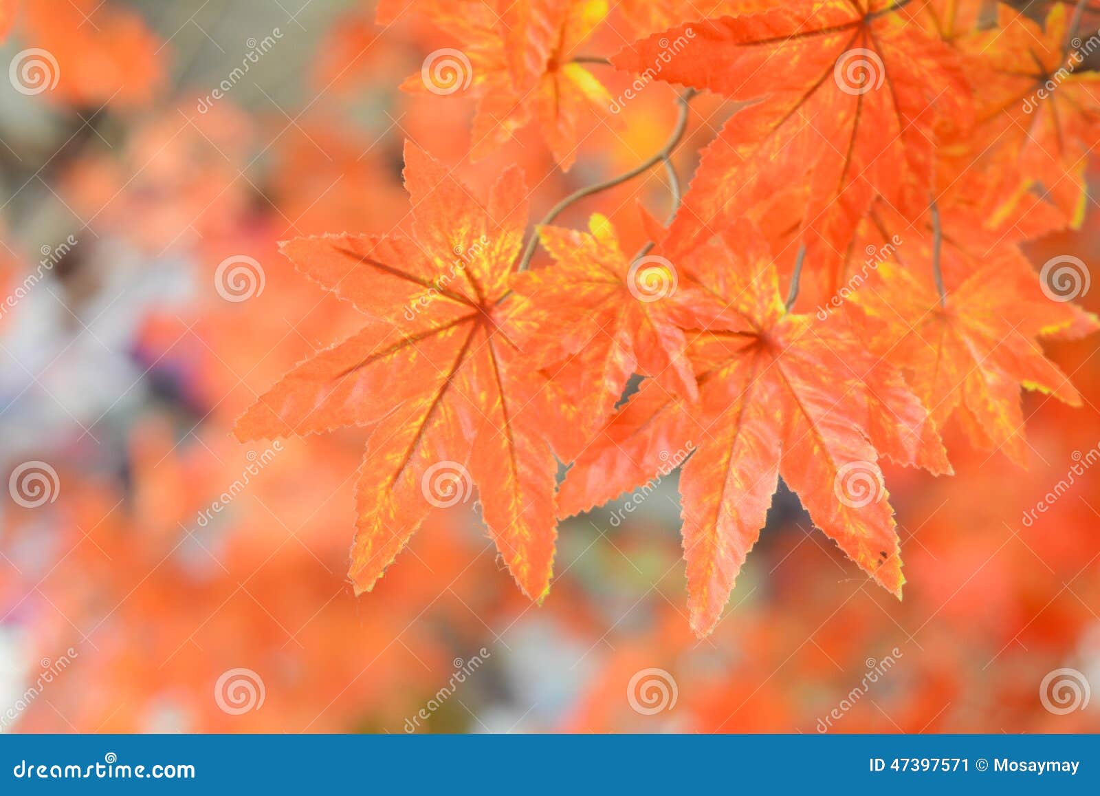 Orange Fake Leaves Made by Plastic Stock Image Image of house, tree