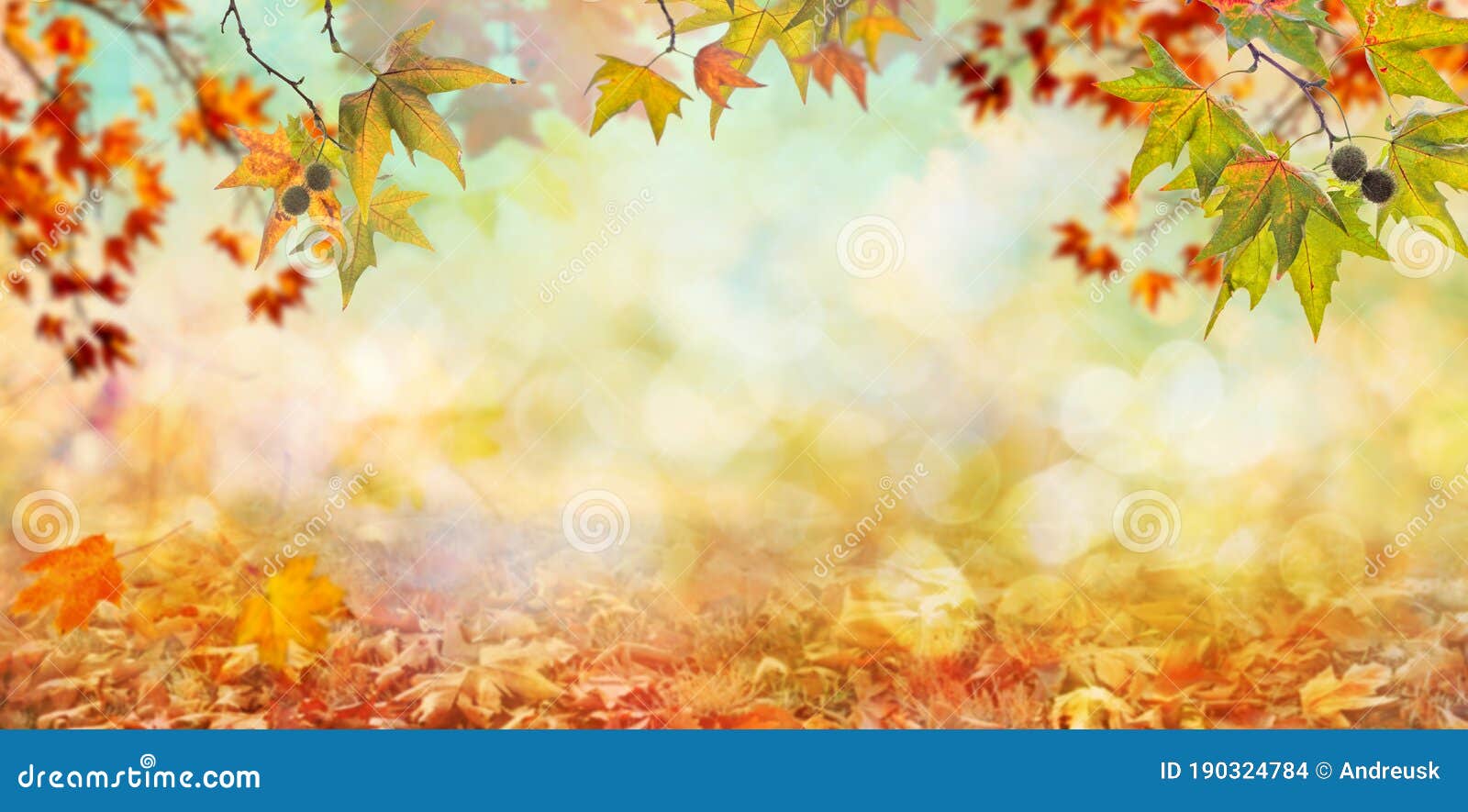 Orange Fall Leaves, Autumn Natural Background with Maple Trees Stock
