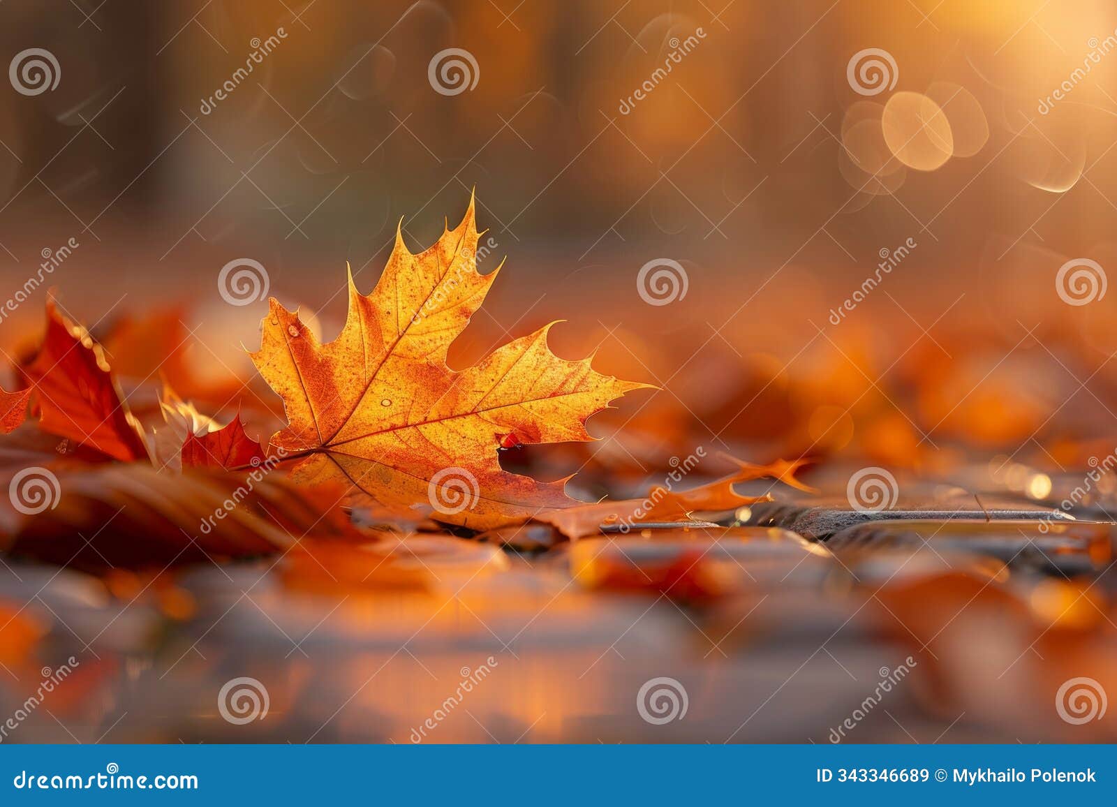 orange fall leaves in park, autumn natural background. neural network ai generated
