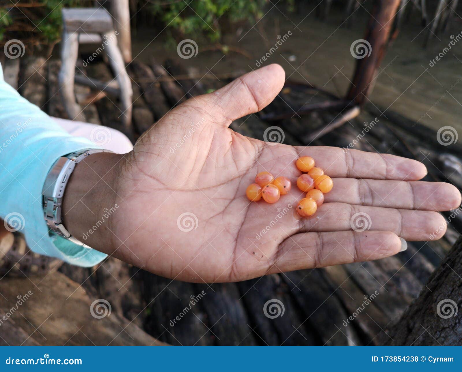 Orange Fish Eggs in Man Hand Stock Photo Image of healthy, fish