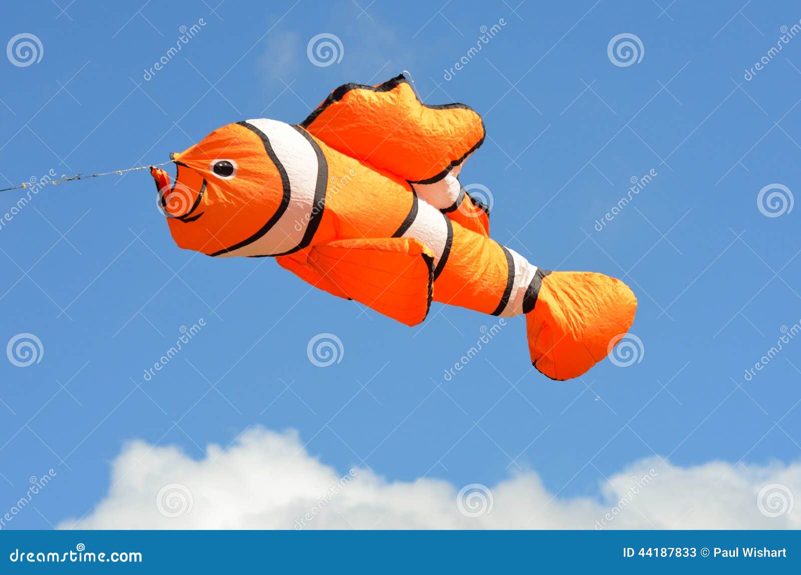 Orange Fish Among The Bubbles In The Aquarium. Cichlasoma Severum