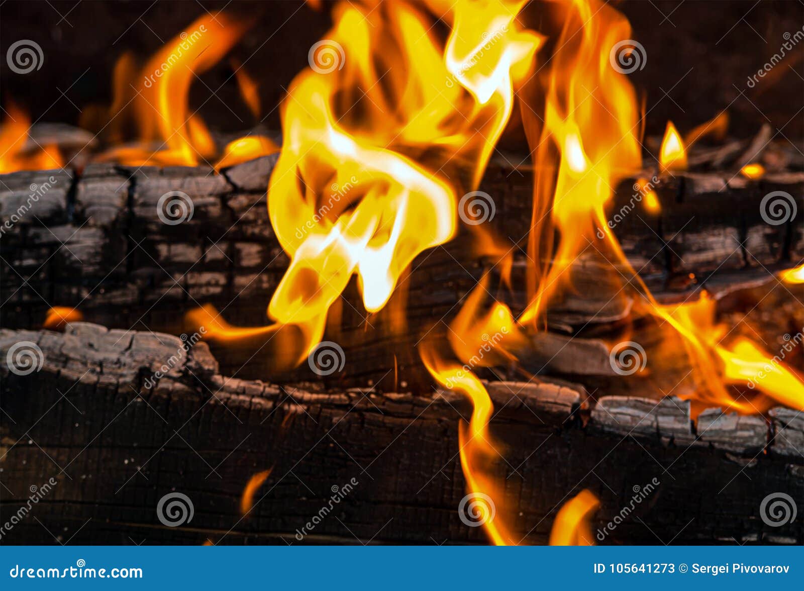 Orange Flame among the Burnt Charcoal Fire Background Stock Image