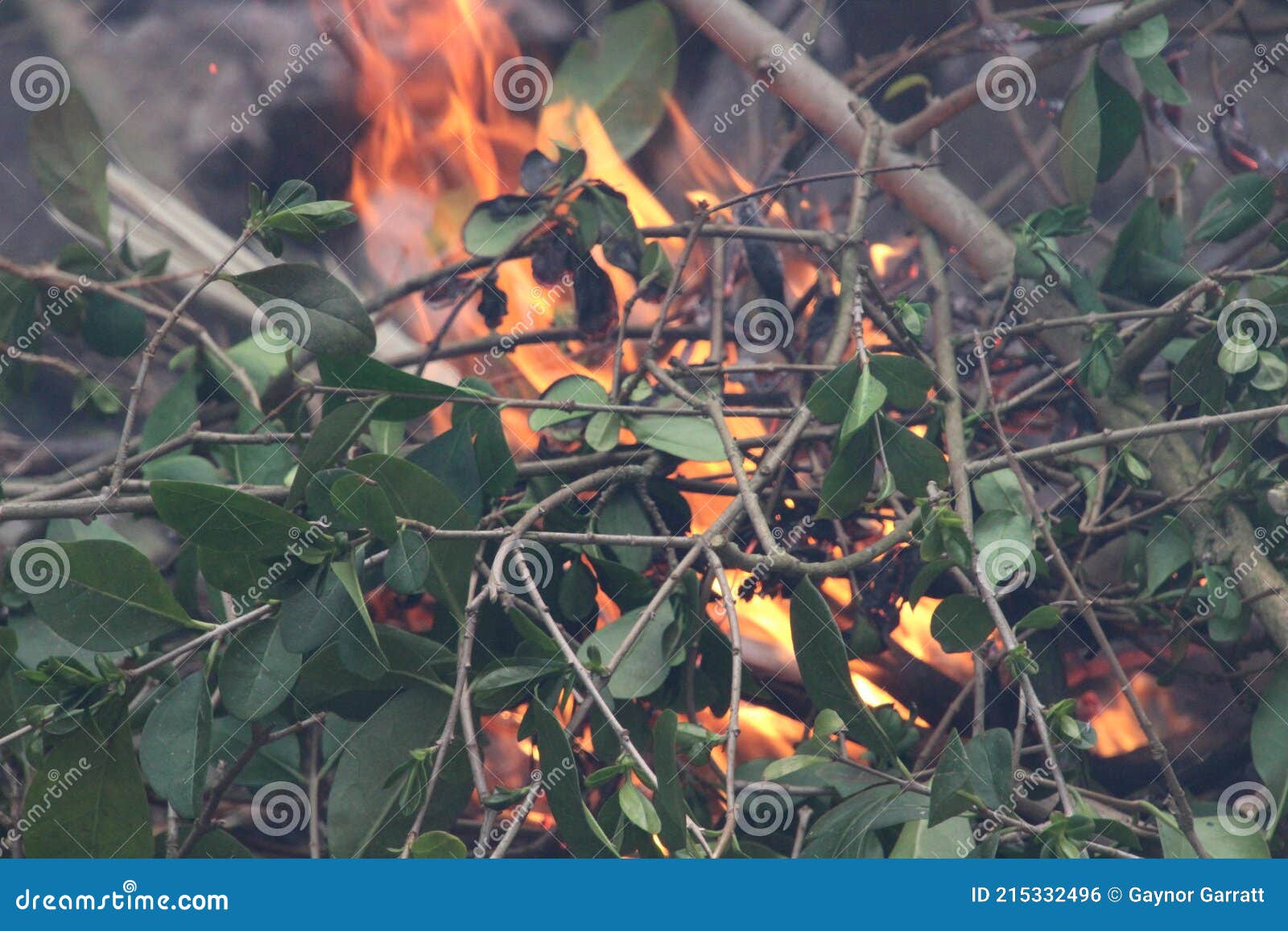 Orange Flames Flickering in a Fire Stock Photo Image of blaze