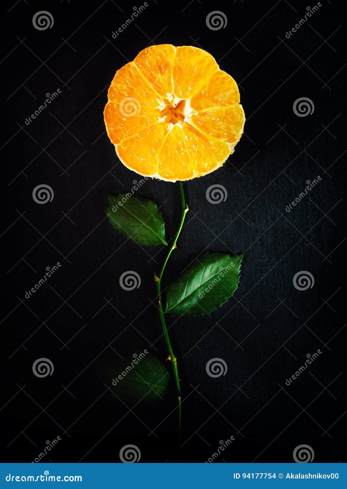 orange flower-d top view, art
