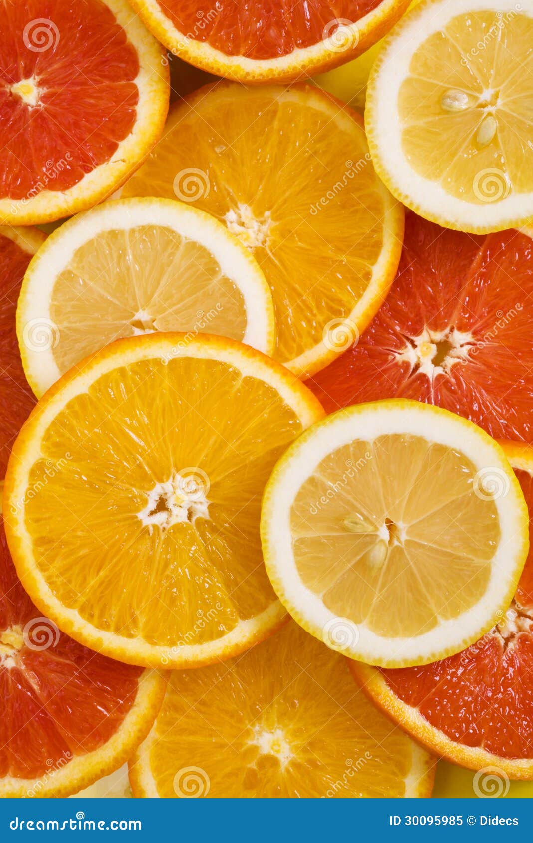 Orange Fruit Background with Lemon and Red Orange Stock Image Image