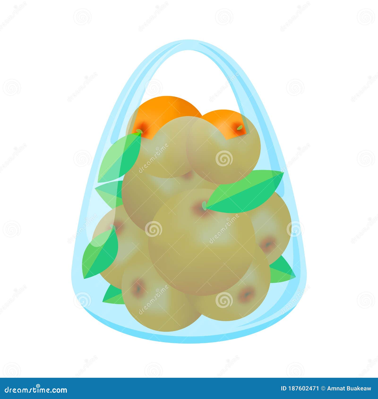 Orange Fruit in Bag Plastic Isolated on White Background, Orange Fruit