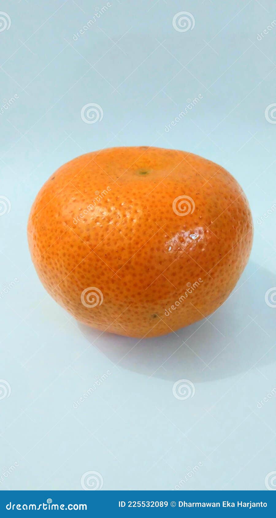 The Orange Fruit that Contains a Lot of Vitamins Stock Image Image of