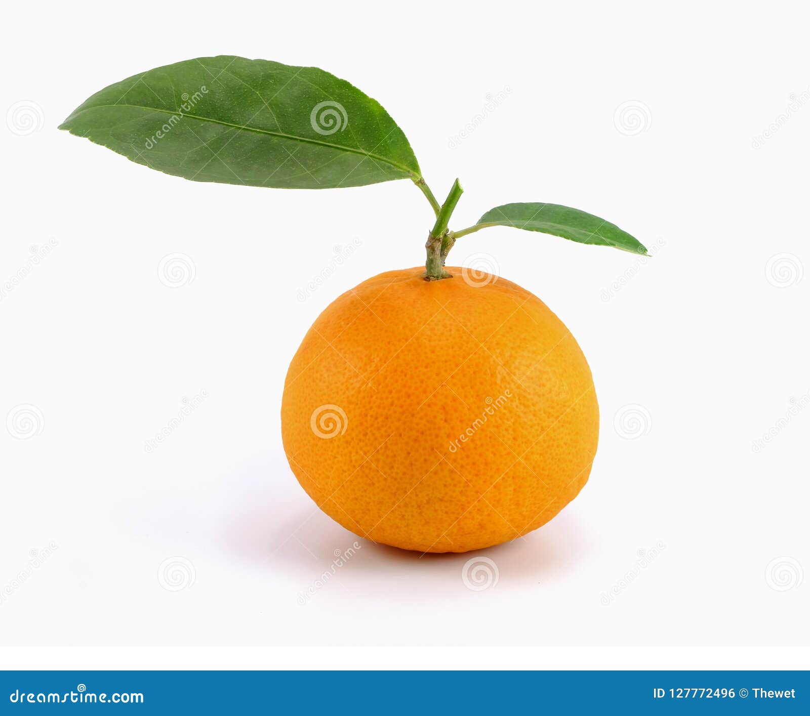 Orange Fruit with Green Leaves Stock Photo Image of leaf, fruit
