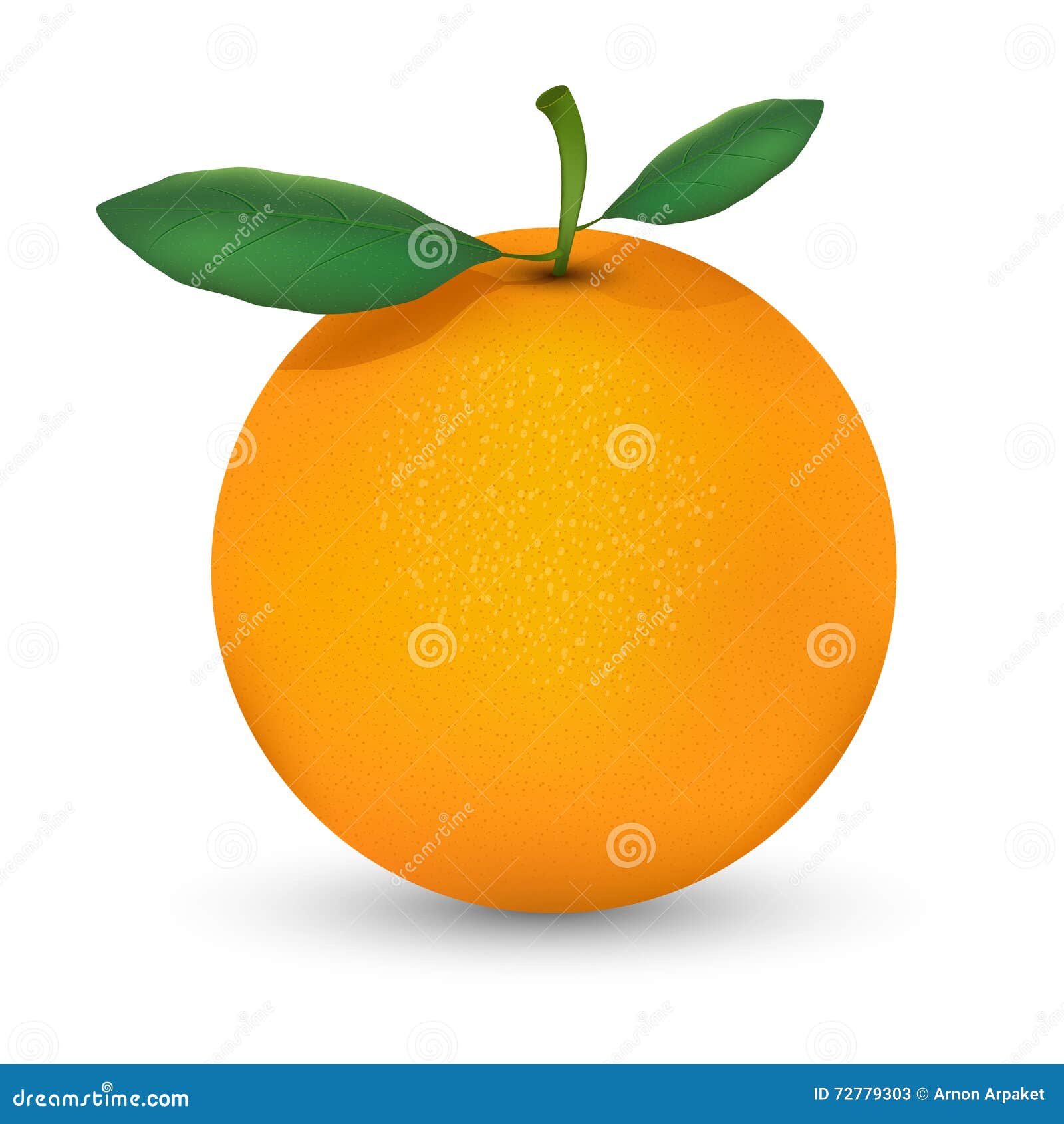 Orange Fruit Illustration Isolate on White Background Stock Vector ...