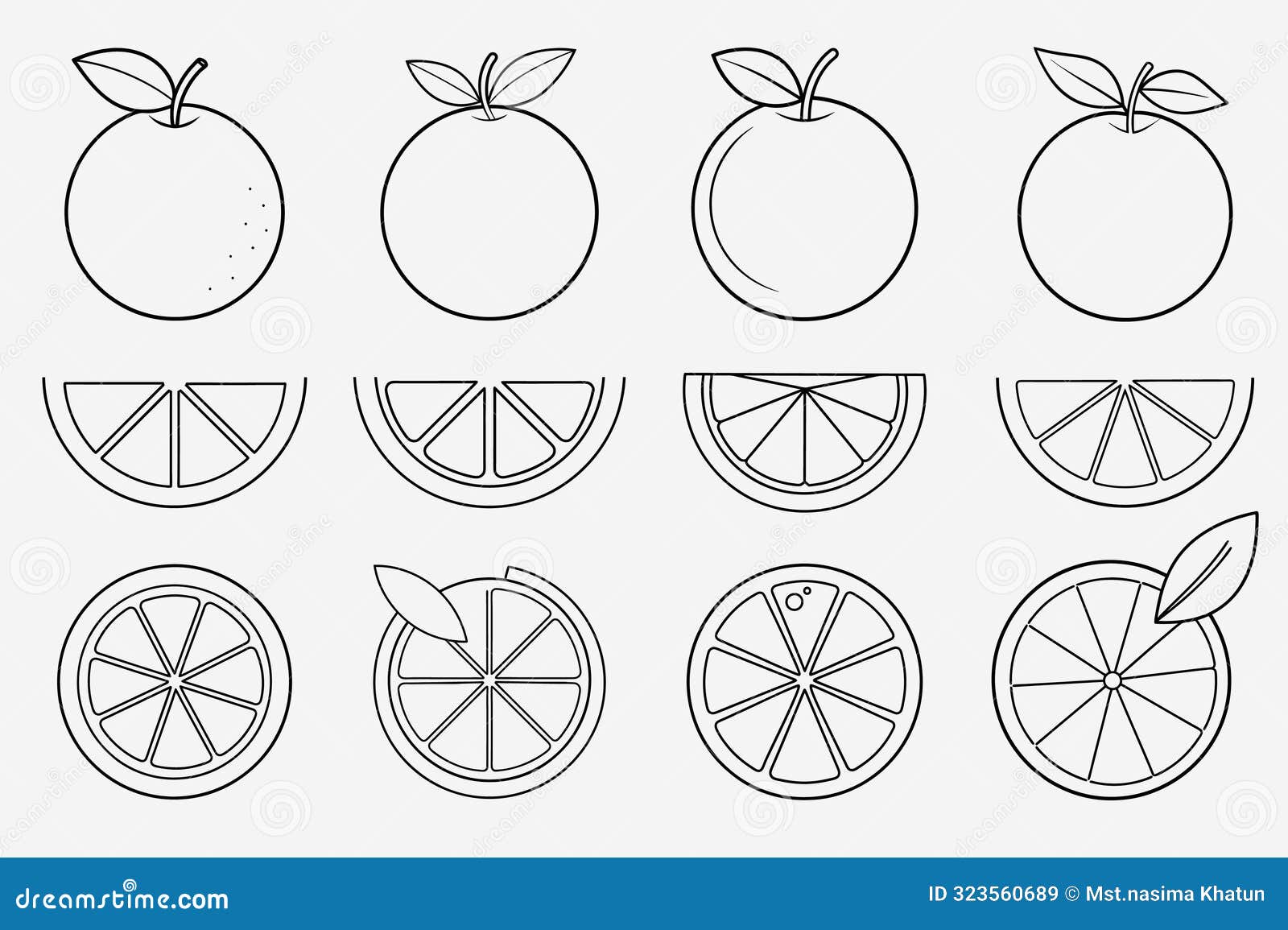 orange fruit lemon line art  set