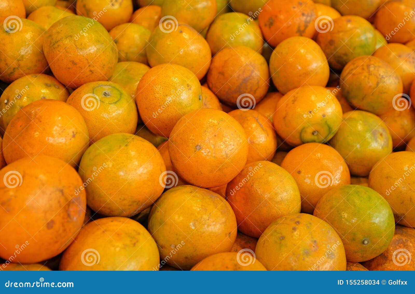 Orange fruit at market stock photo. Image of background 155258034