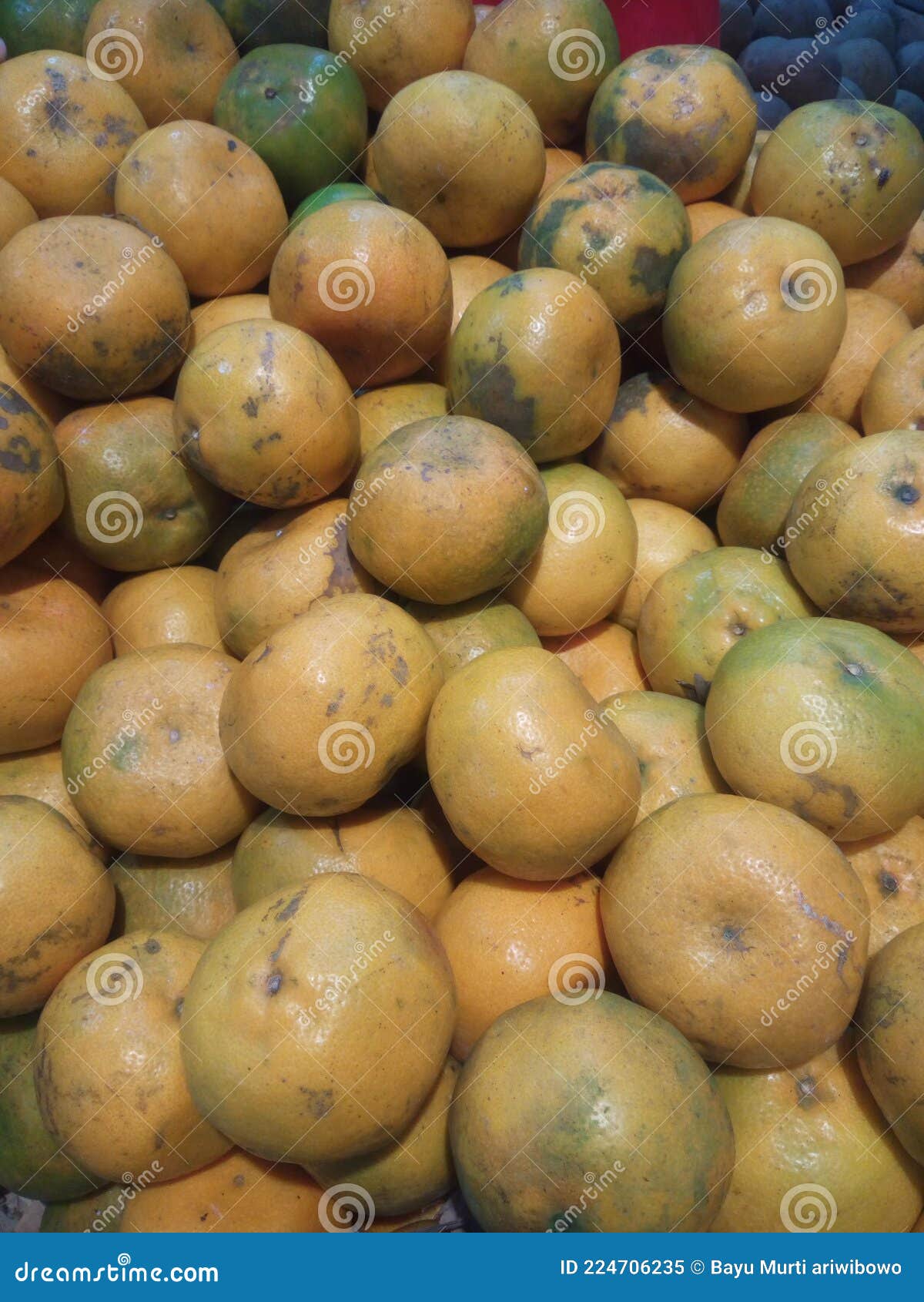 Orange fruit at market stock image. Image of market 224706235