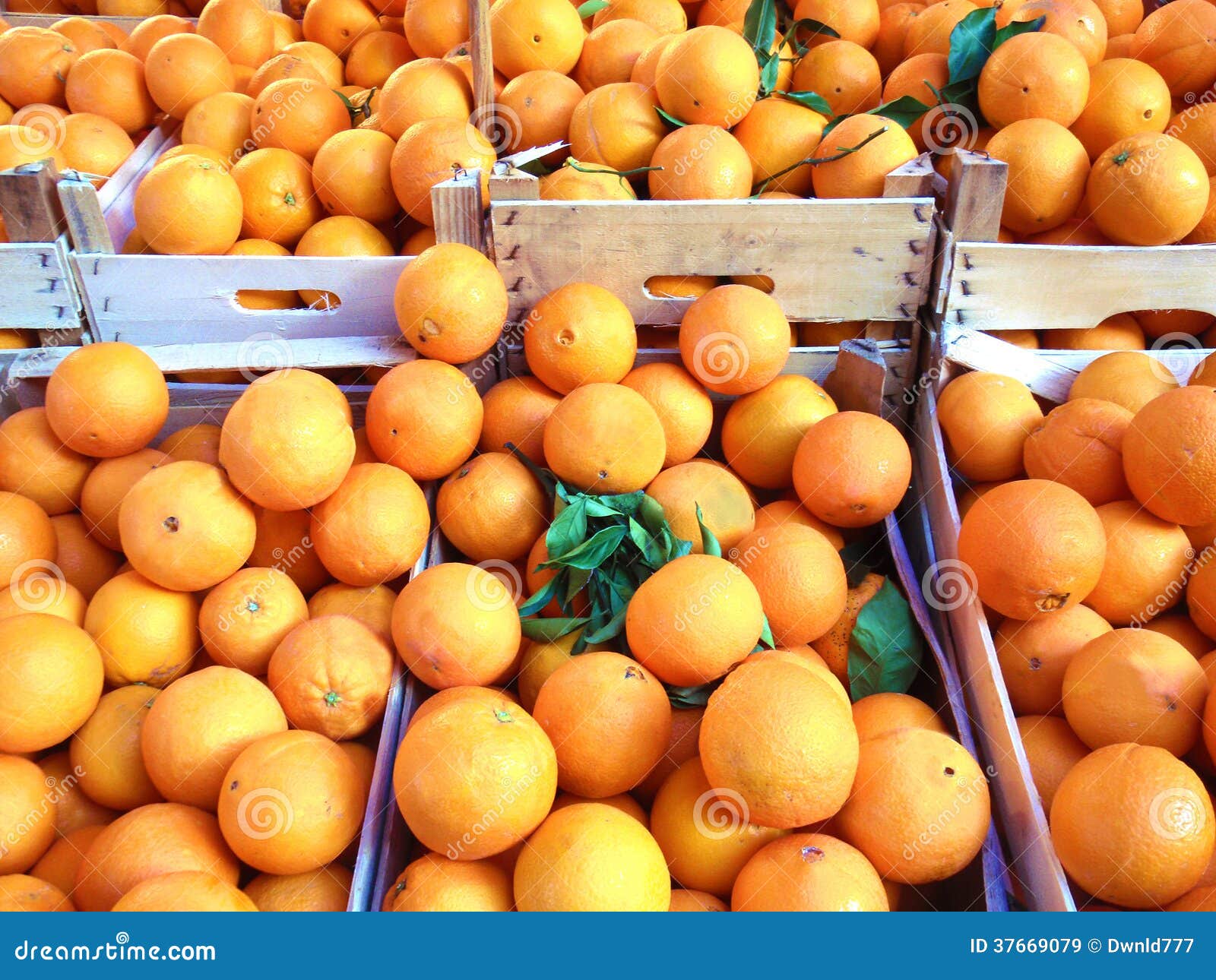 Orange fruit on the market stock image. Image of oranges 37669079