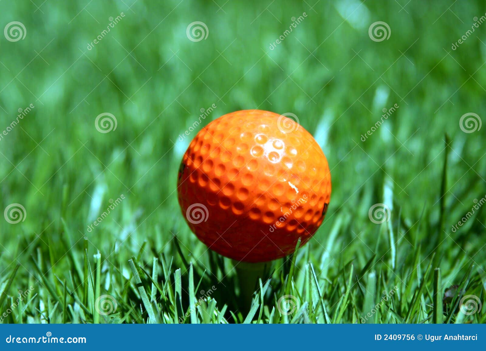 An Orange Golf Ball Picture. Image 2409756