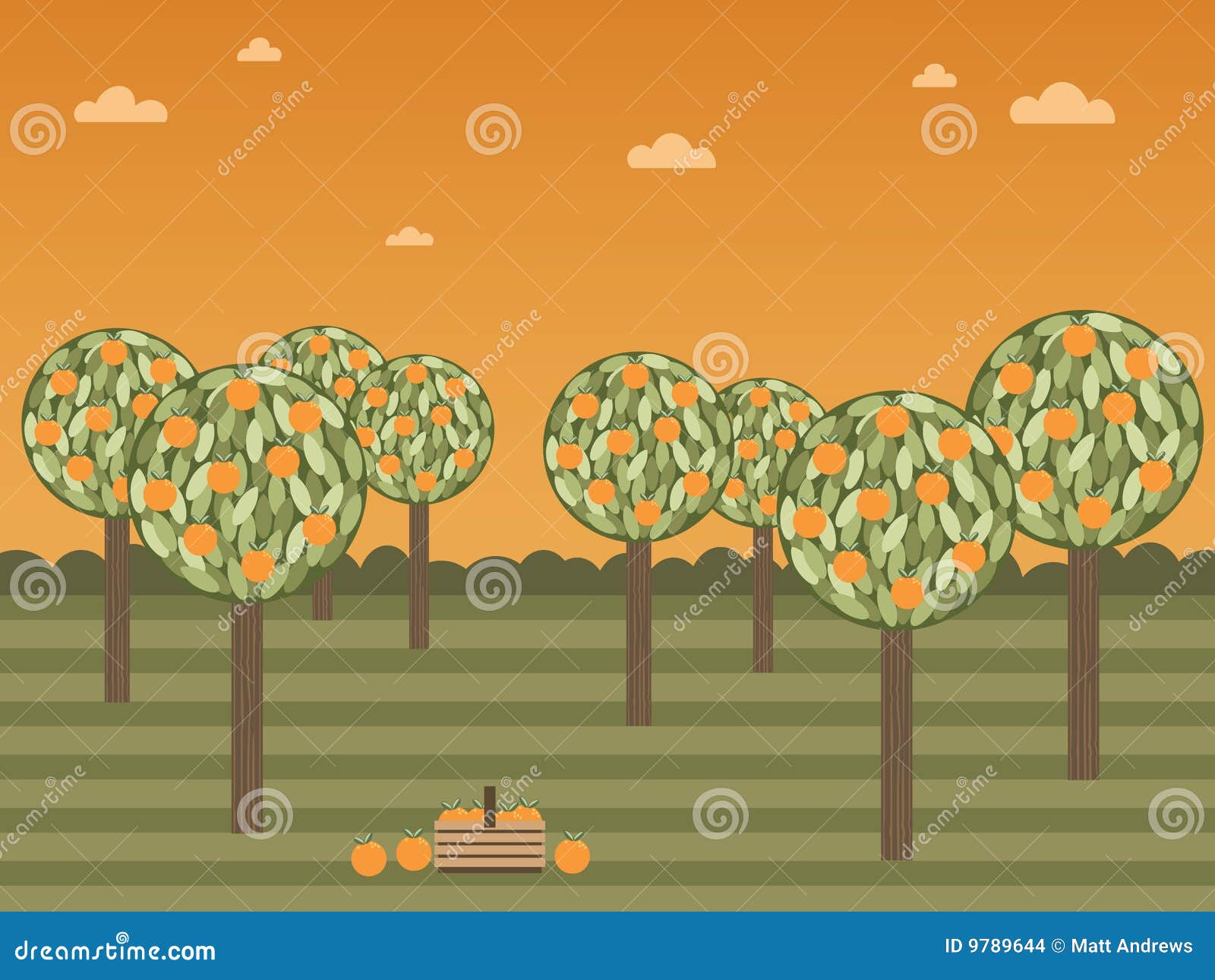 Orange grove stock vector. Illustration of leaf, vector 9789644