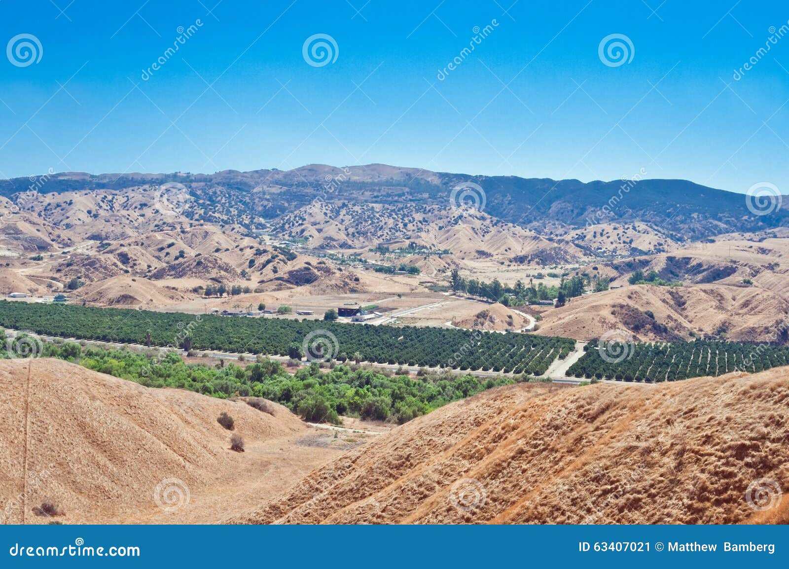 Orange Grove From Above Stock Photo Image 63407021