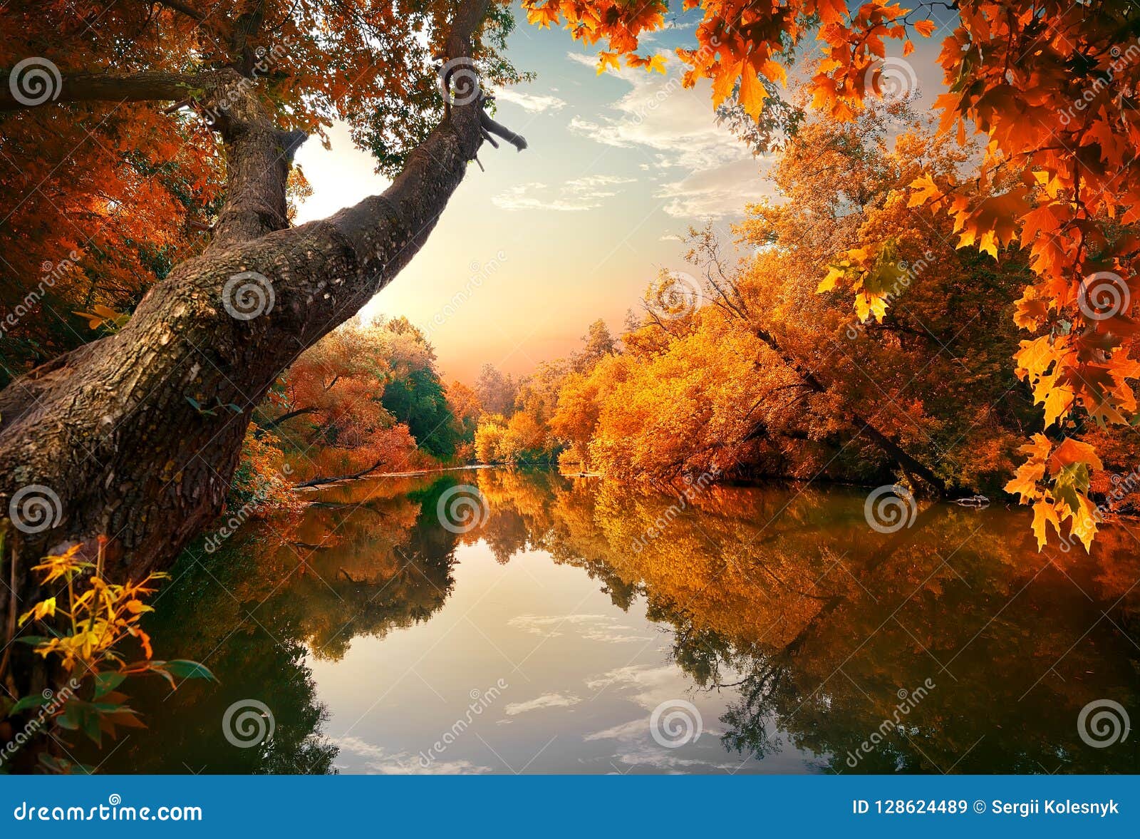 Orange Herbst auf Fluss stockbild. Bild von landschaft ...