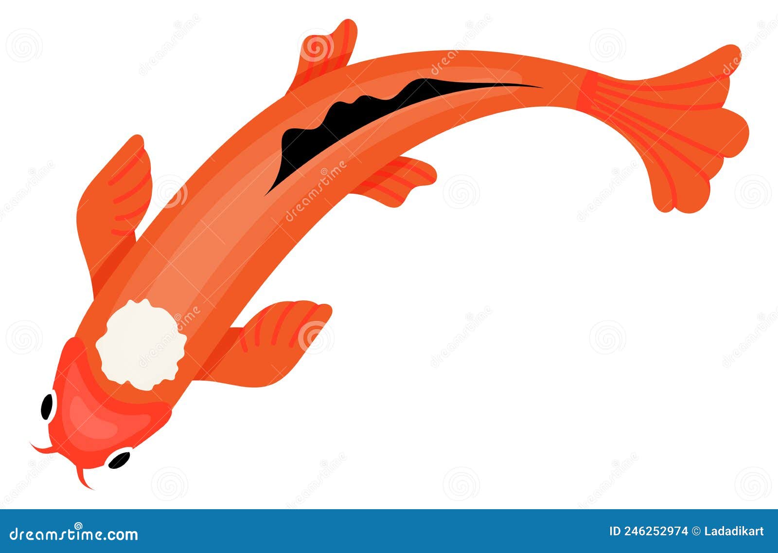 Orange Koi Fish Top View. Asian Carp Stock Vector - Illustration