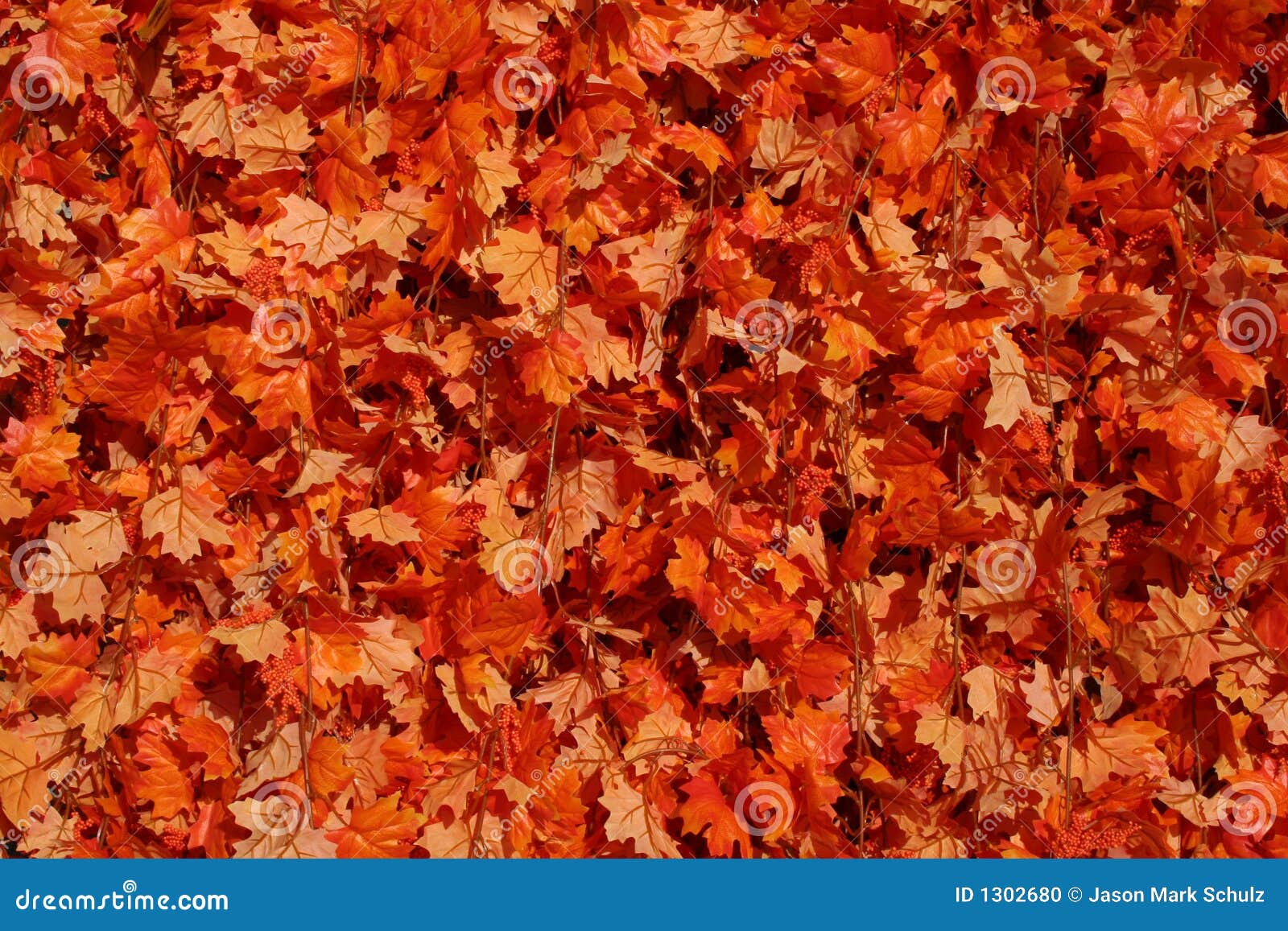 Orange Leaf Background stock photo. Image of sunny, fall - 1302680