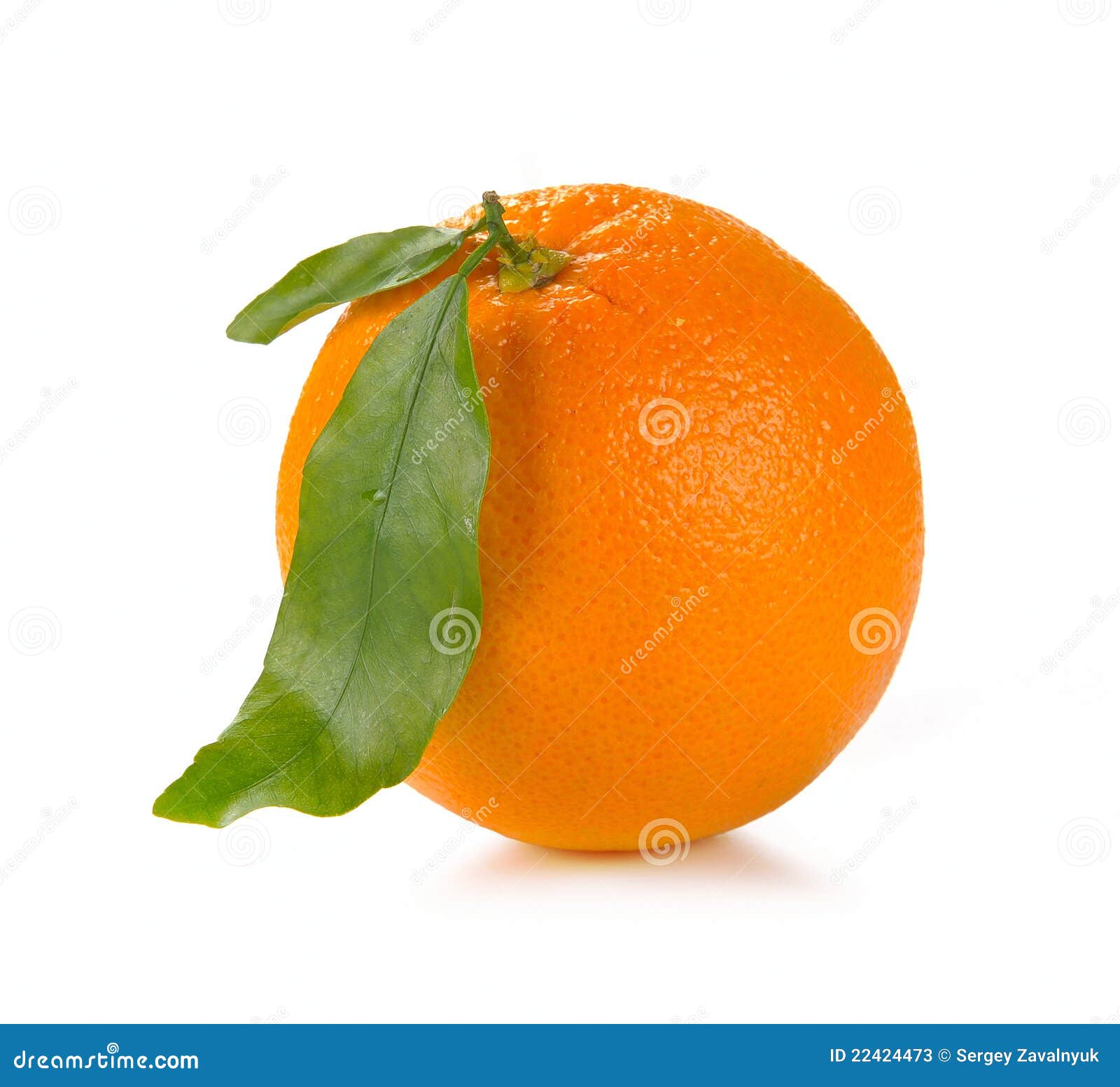 Orange with leaves stock image. Image of fruit, vitamin 22424473