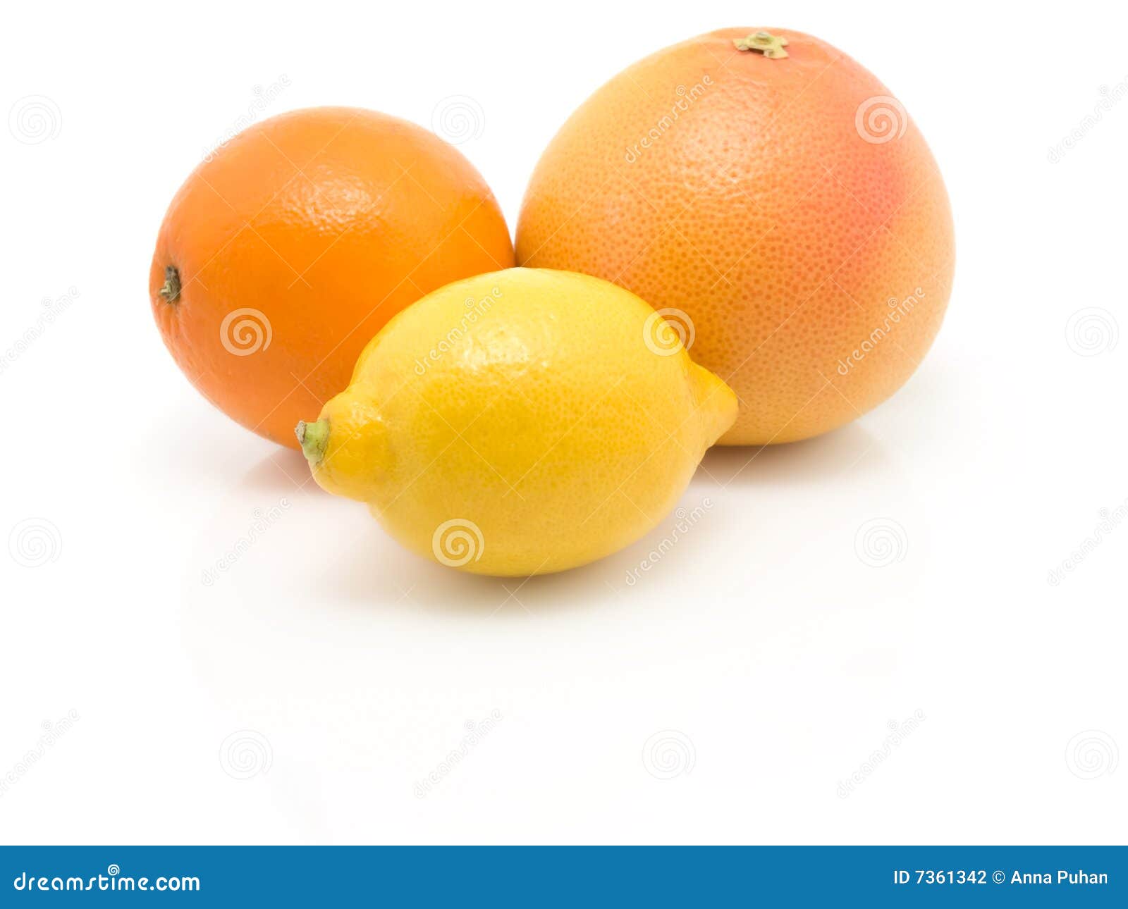 Orange, Lemon and Grapefruit Stock Photo Image of brightly