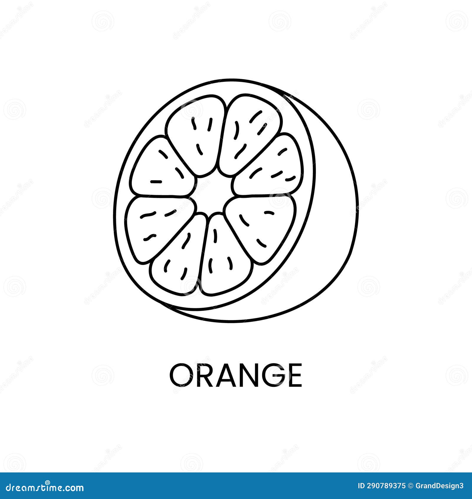 Orange Line Icon in Vector, Citrus Fruit Illustration Stock Vector