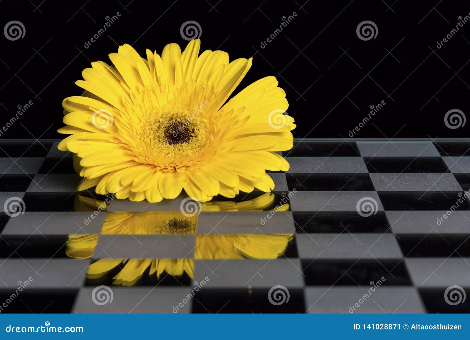 Orange Lower on the Black a White Glass Chess Board Stock Image Image