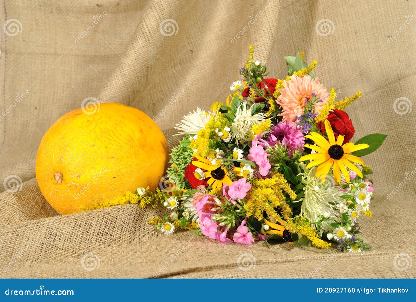 The Orange Melon And Autumn Flowers Against Rough Stock Photo Image