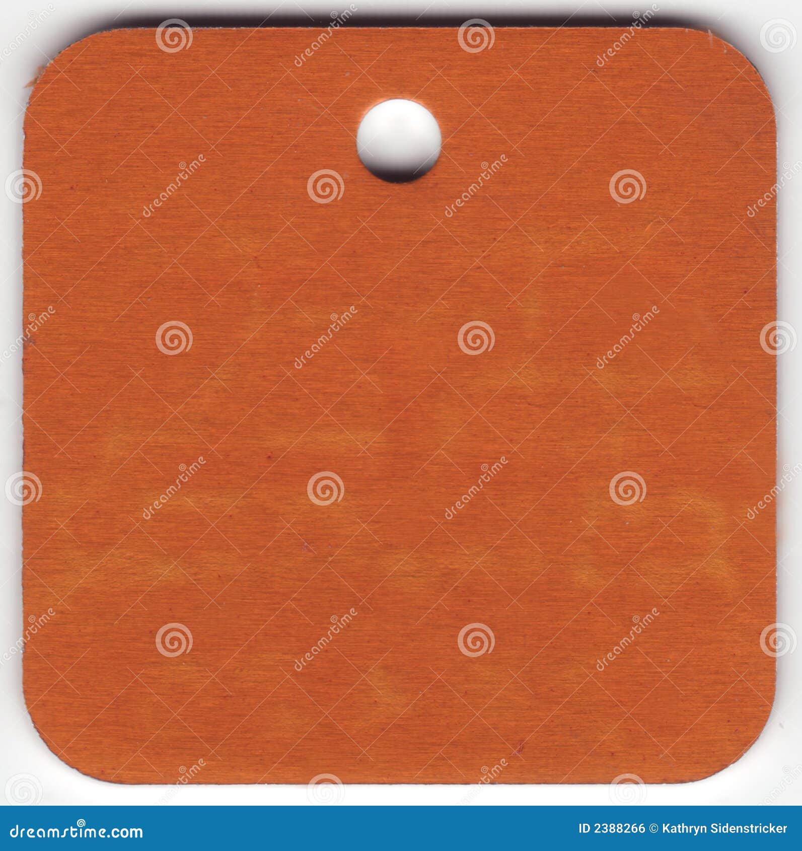 Orange Metal Dog Tag stock photo. Image of metallic, rabies 2388266