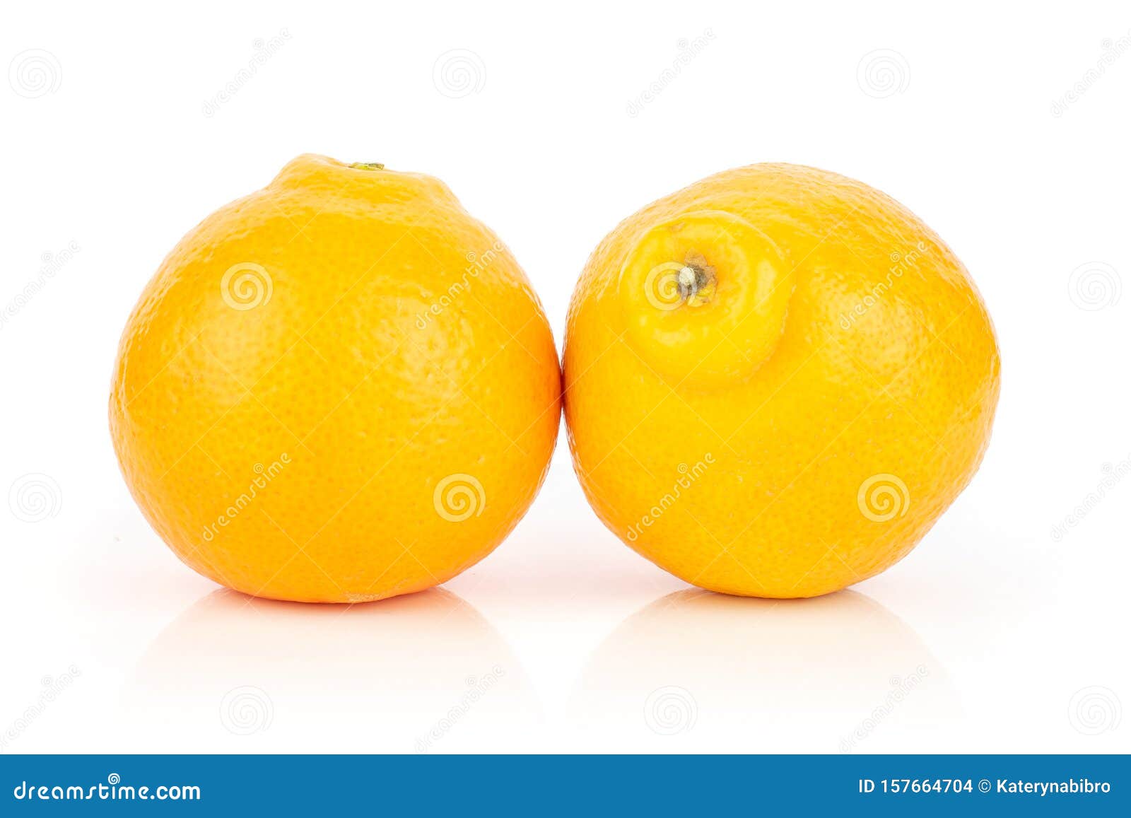 Orange Minneola Tangelo Isolated on White Stock Photo Image of isolated, brilliant 157664704