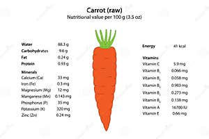 Carrot raw Nutritional Value Per 100 G 3 5 Oz Stock Vector 