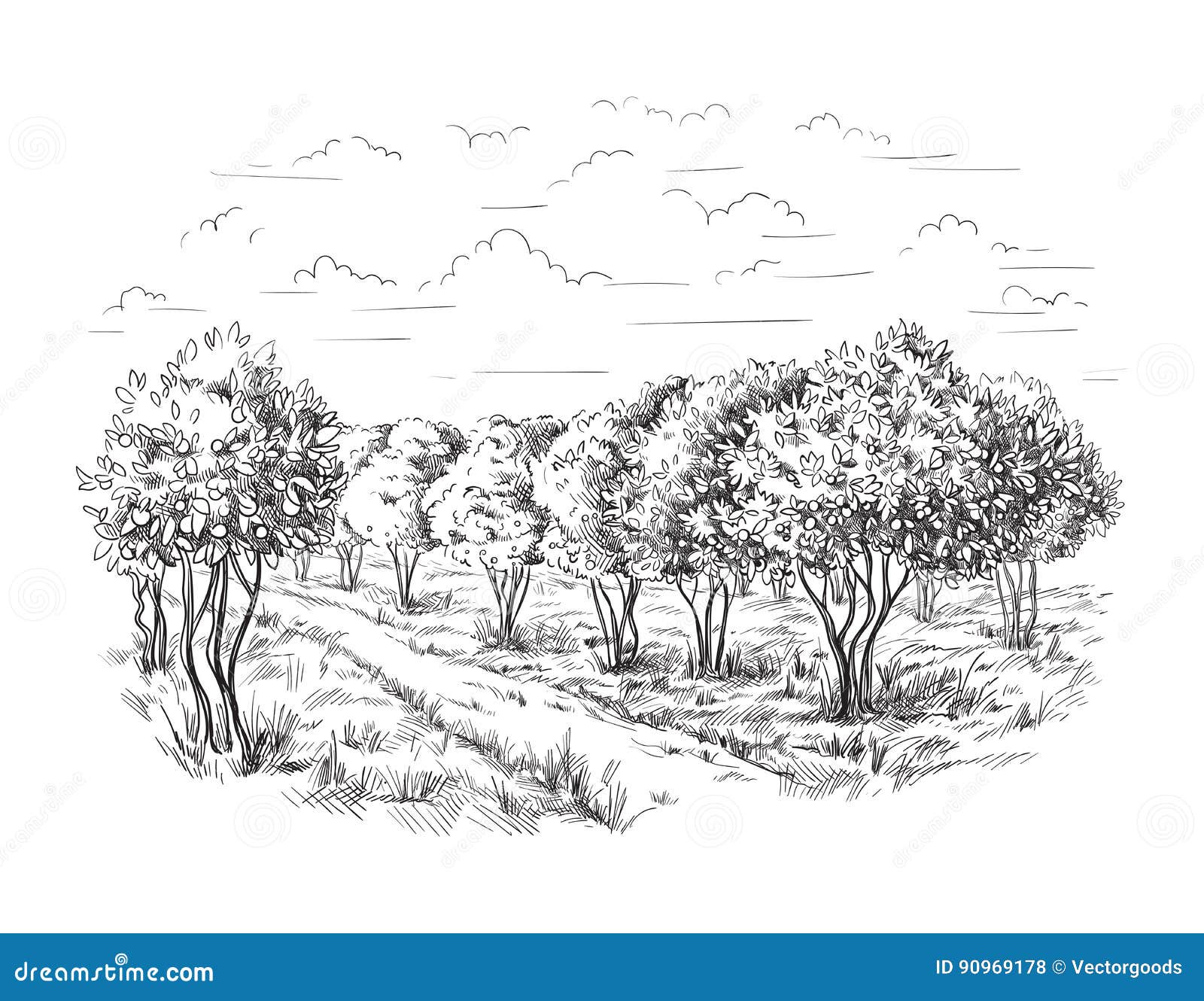 Orange Tree Stock Illustrations 94,251 Orange Tree Stock